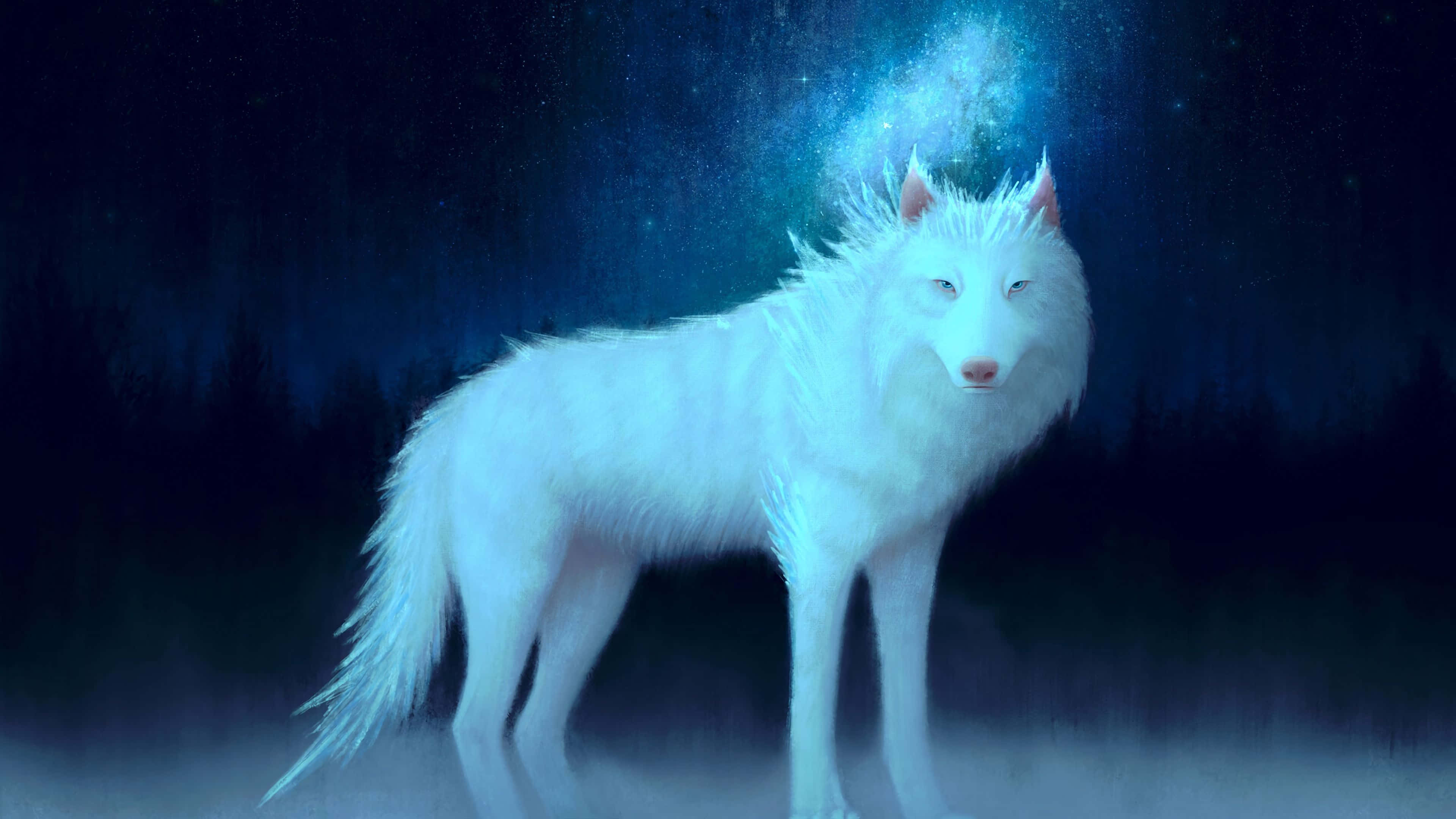 Un hermoso y poderoso lobo gris deambulando por la naturaleza Fondos de pantalla
