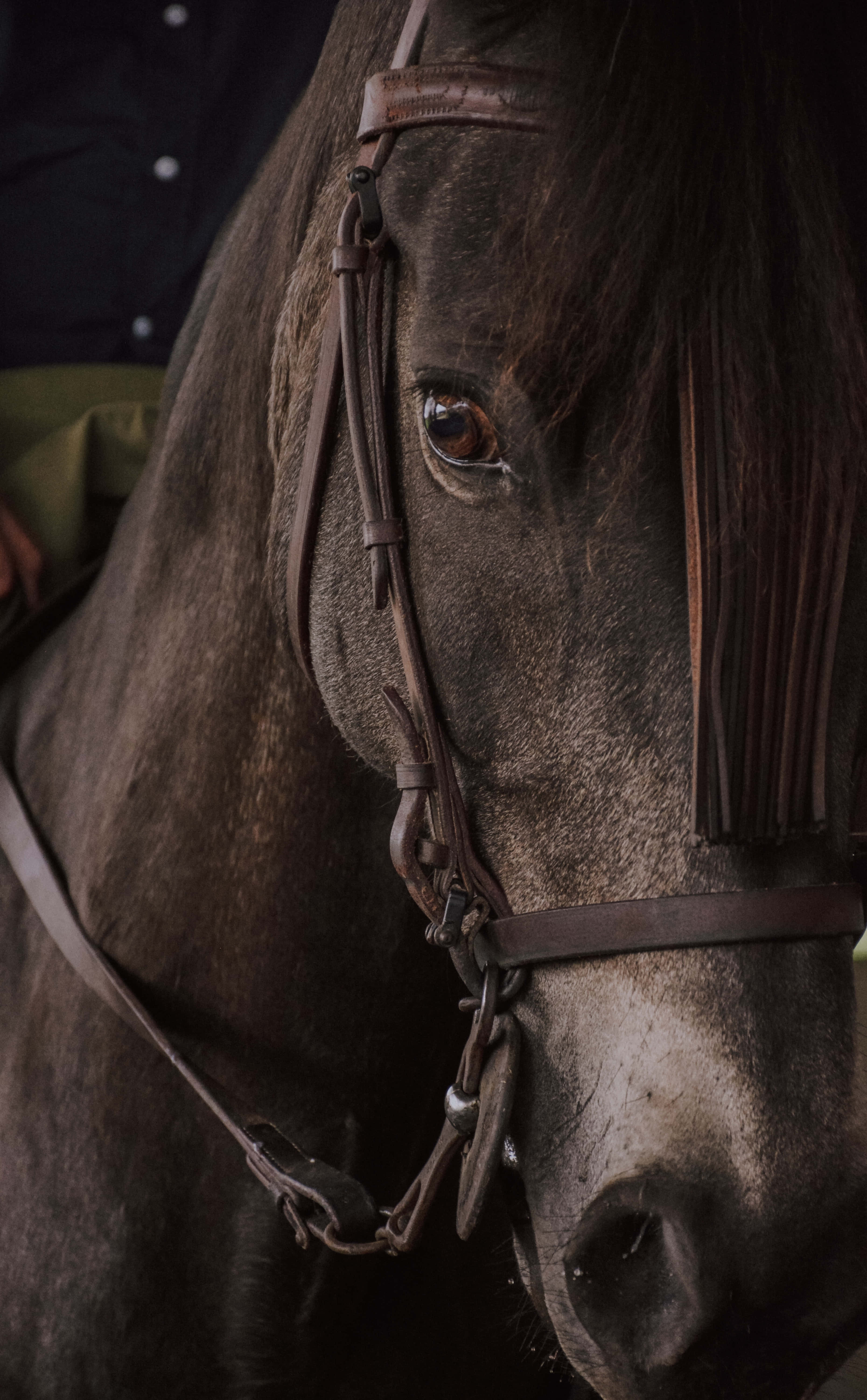 un hombre monta a caballo Fondos de pantalla
