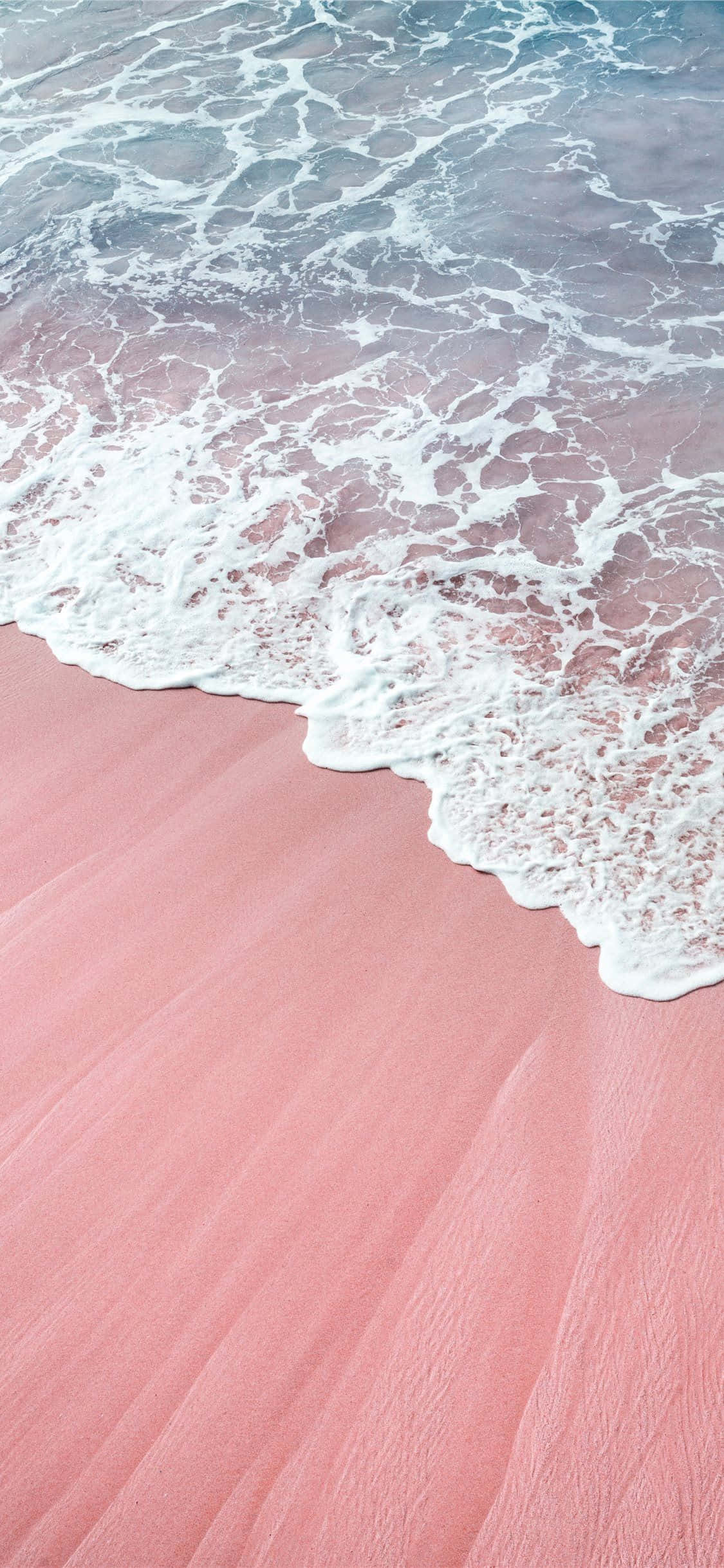 Un iPhone Rosa Estético con un Arreglo Floral Colorido Fondos de pantalla