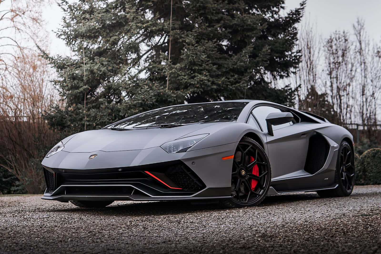 un lamborghini gris estacionado frente a un árbol Fondos de pantalla