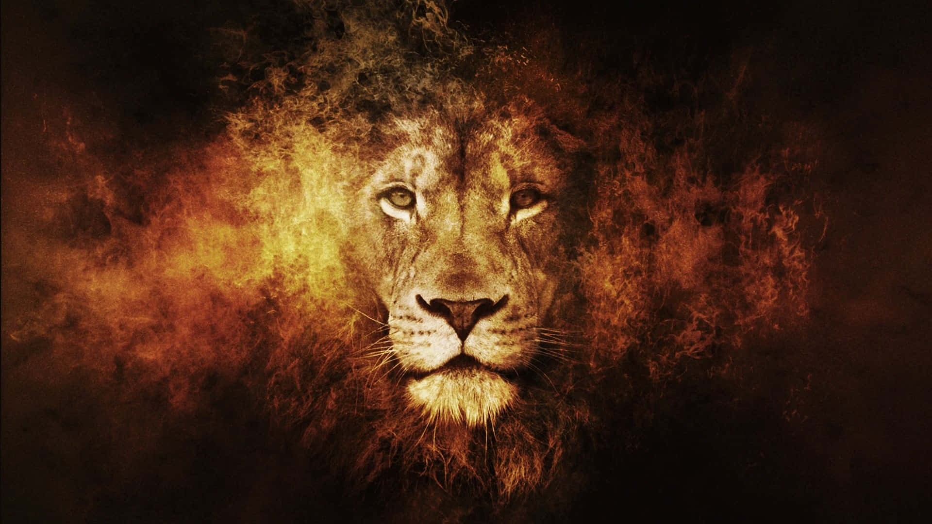 Un león africano macho en su hábitat natural Fondos de pantalla