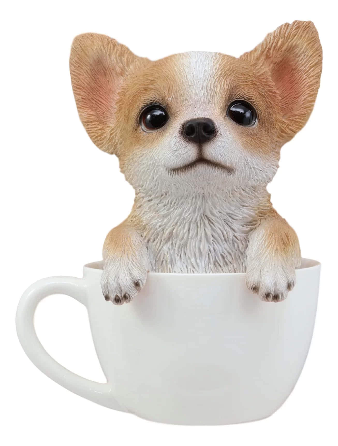 Un Lindo Chihuahua Taza de Té Fondos de pantalla