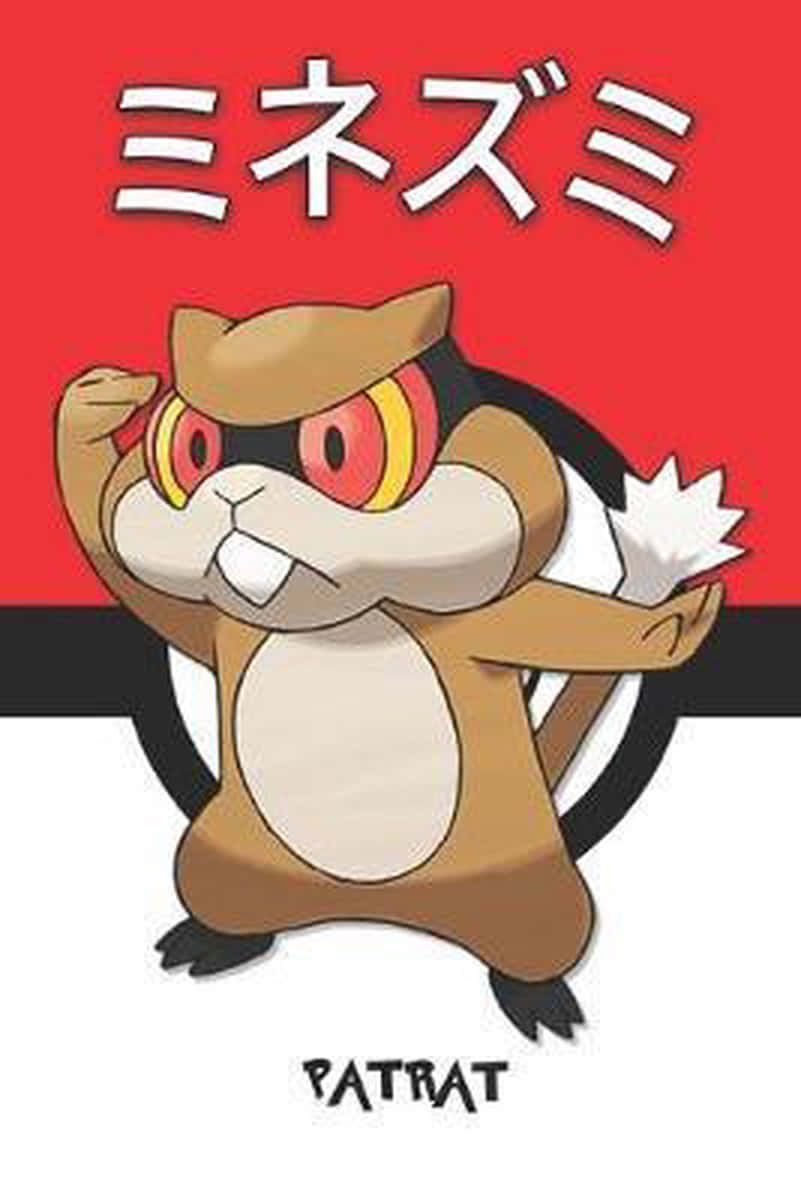 Un lindo Patrat parado frente a un fondo rojo y blanco Fondos de pantalla