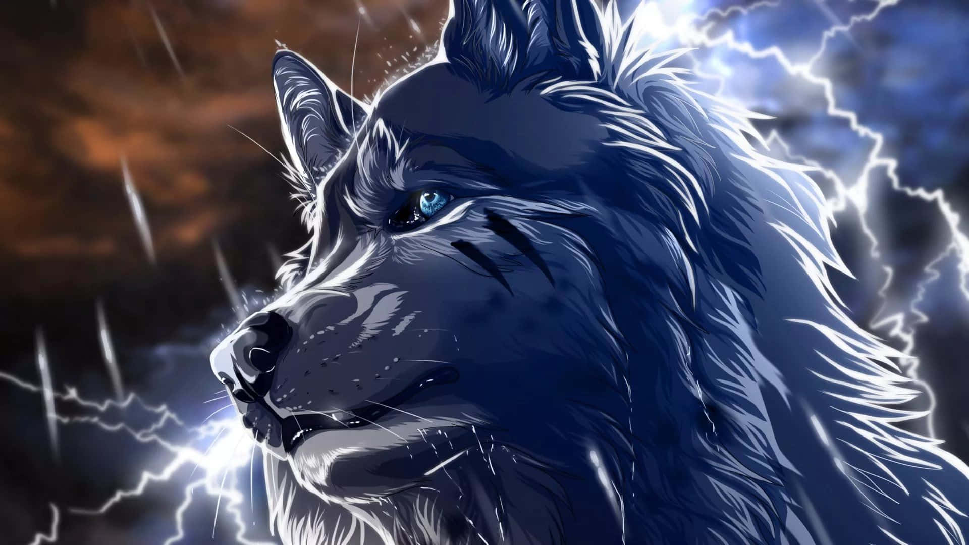 Un lobo imponente mira con confianza hacia la noche Fondos de pantalla