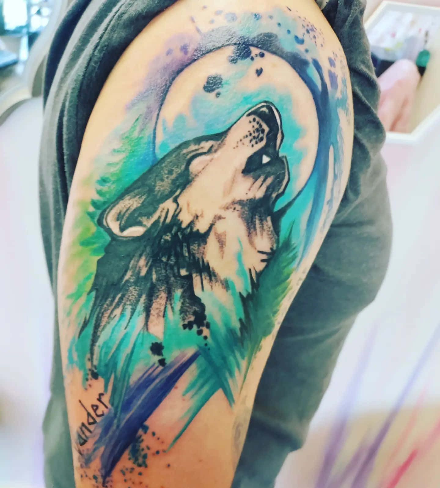 Un lobo imponente te mira fijamente al alma Fondos de pantalla