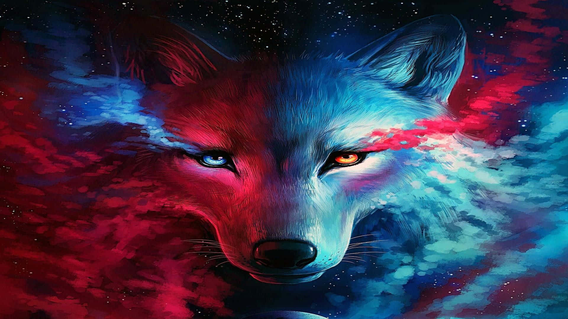 Un lobo misterioso y genial en una noche tranquila Fondos de pantalla