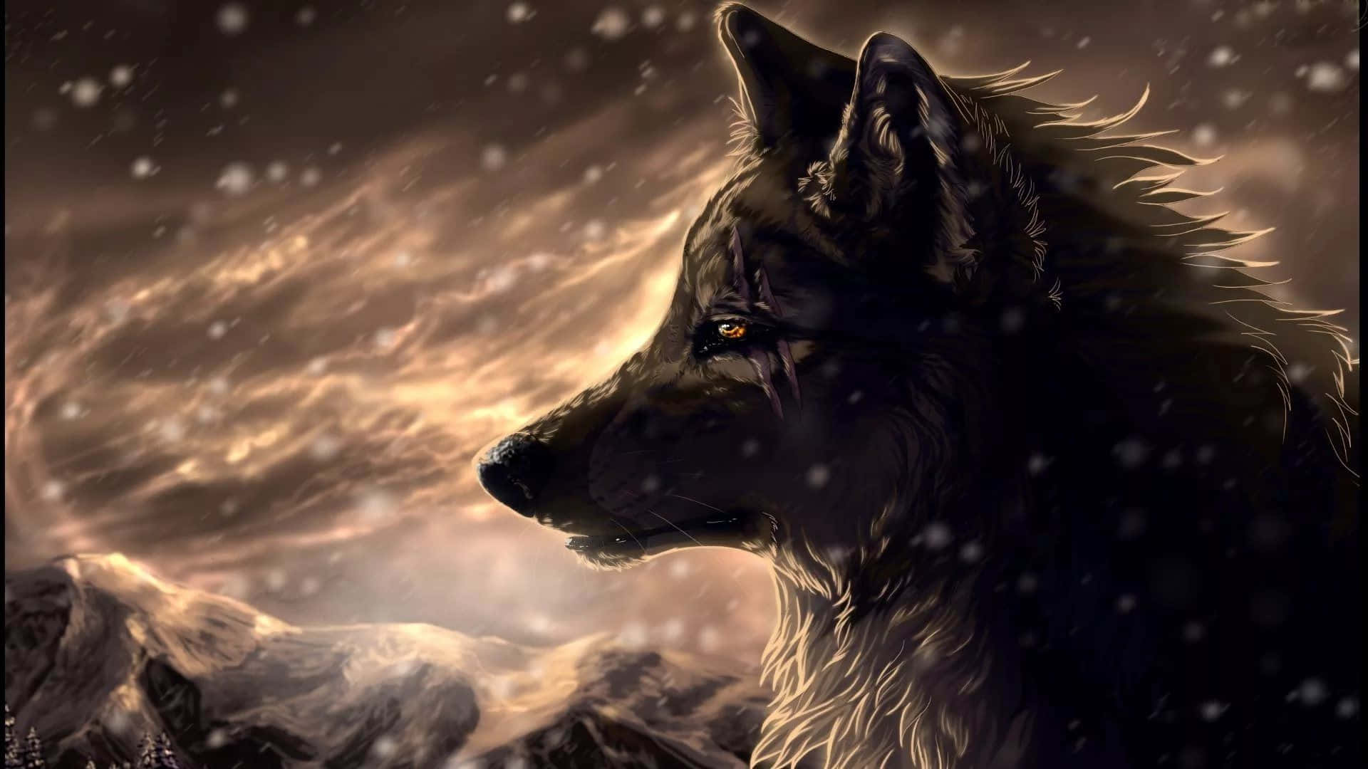 Un lobo misterioso deambulando por los bosques de la noche Fondos de pantalla