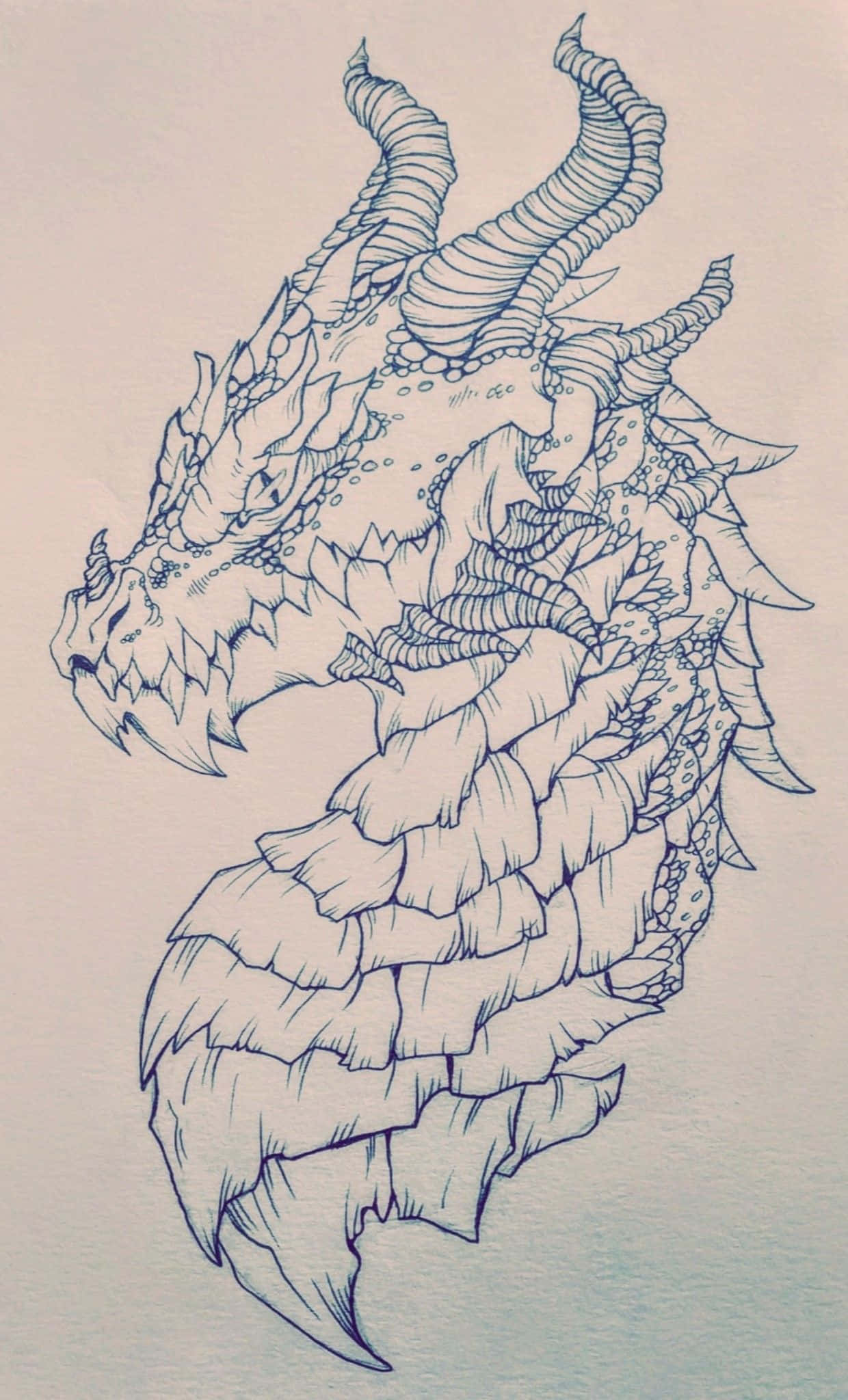 Un majestuoso perfil de dragón Fondos de pantalla