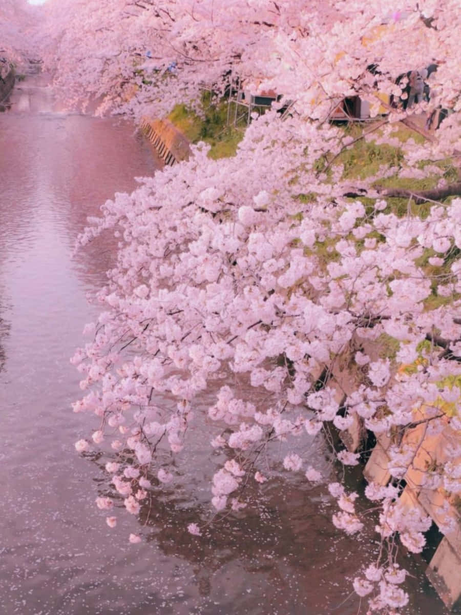 Un paisaje de ensueño pastel Fondos de pantalla