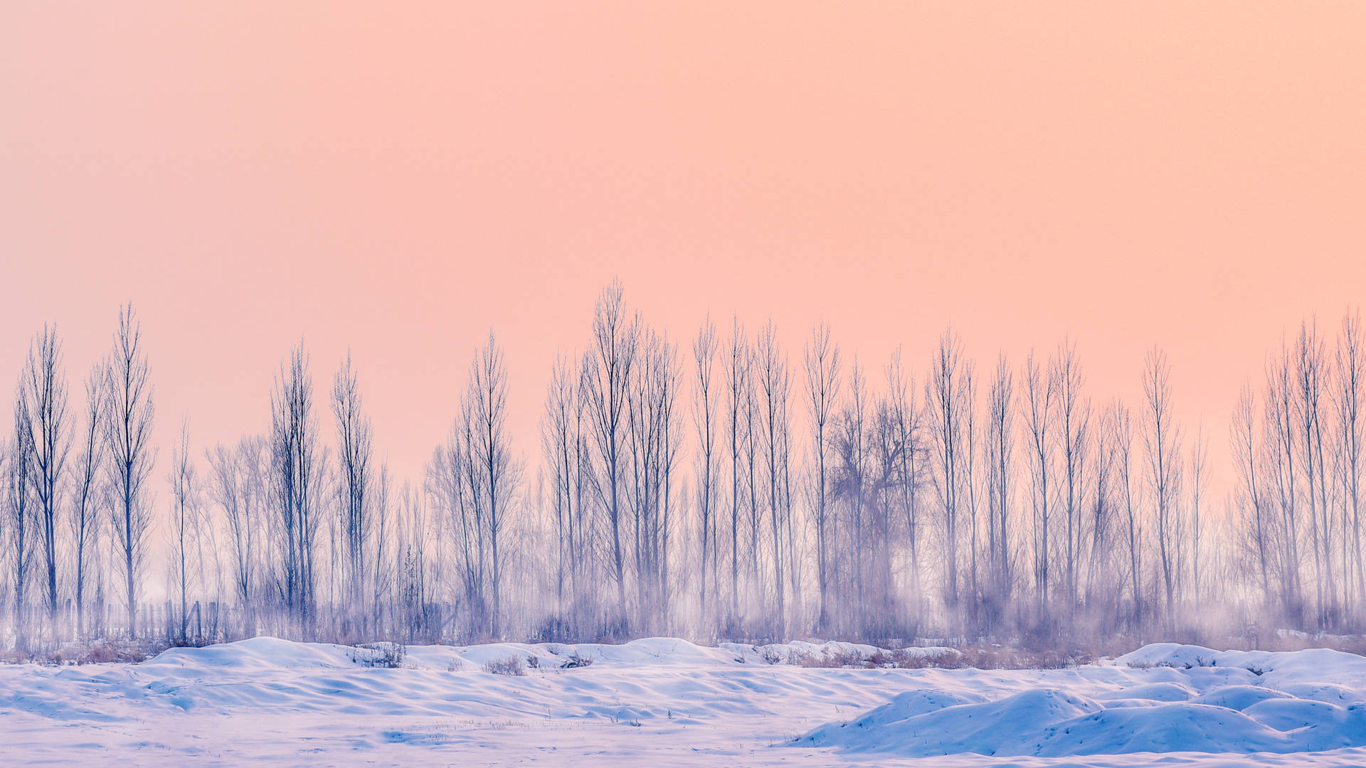 Un Paisaje Invernal Sereno