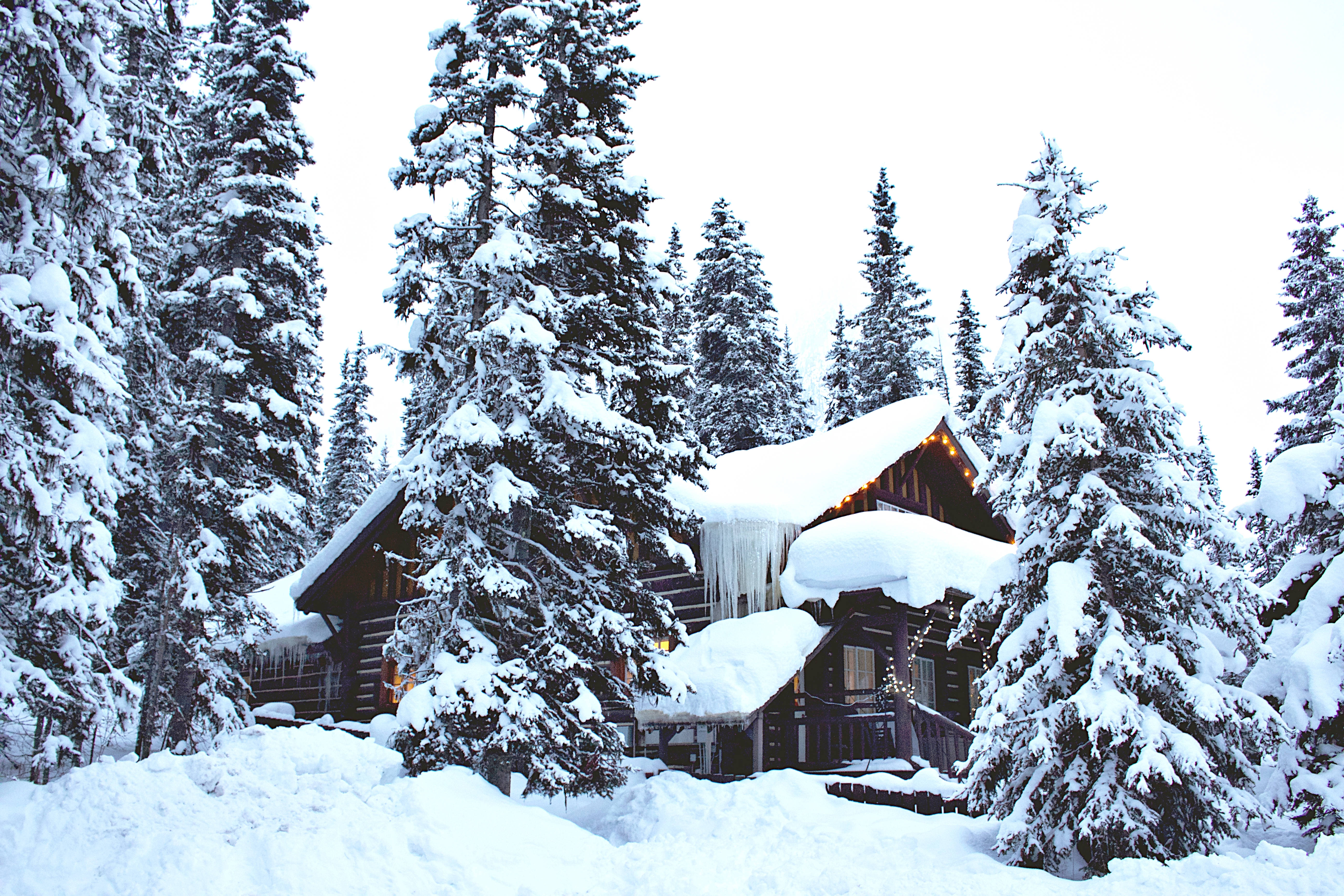 Un paraíso invernal de casas como esferas de nieve Fondos de pantalla