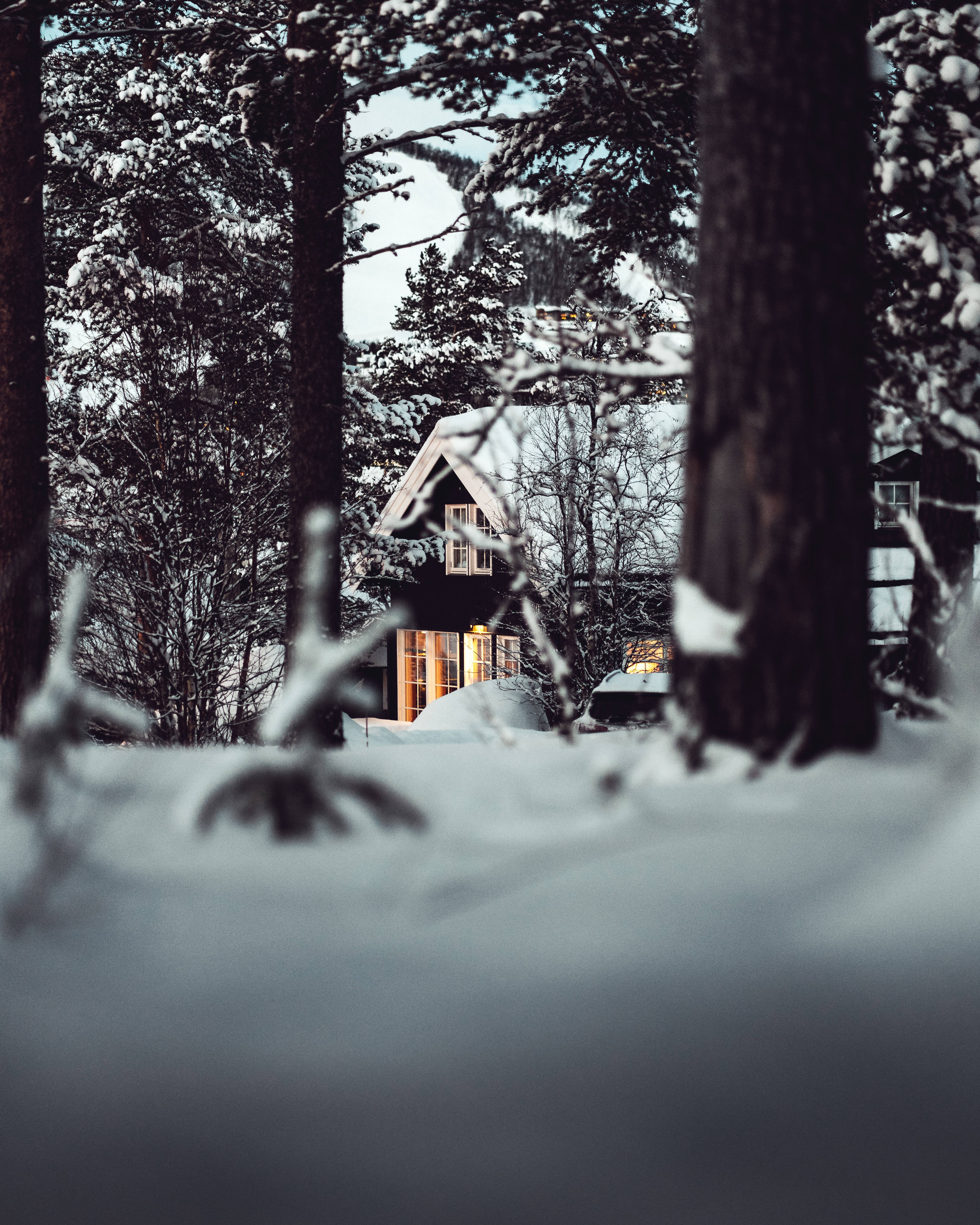 “Un paraíso invernal” Fondos de pantalla