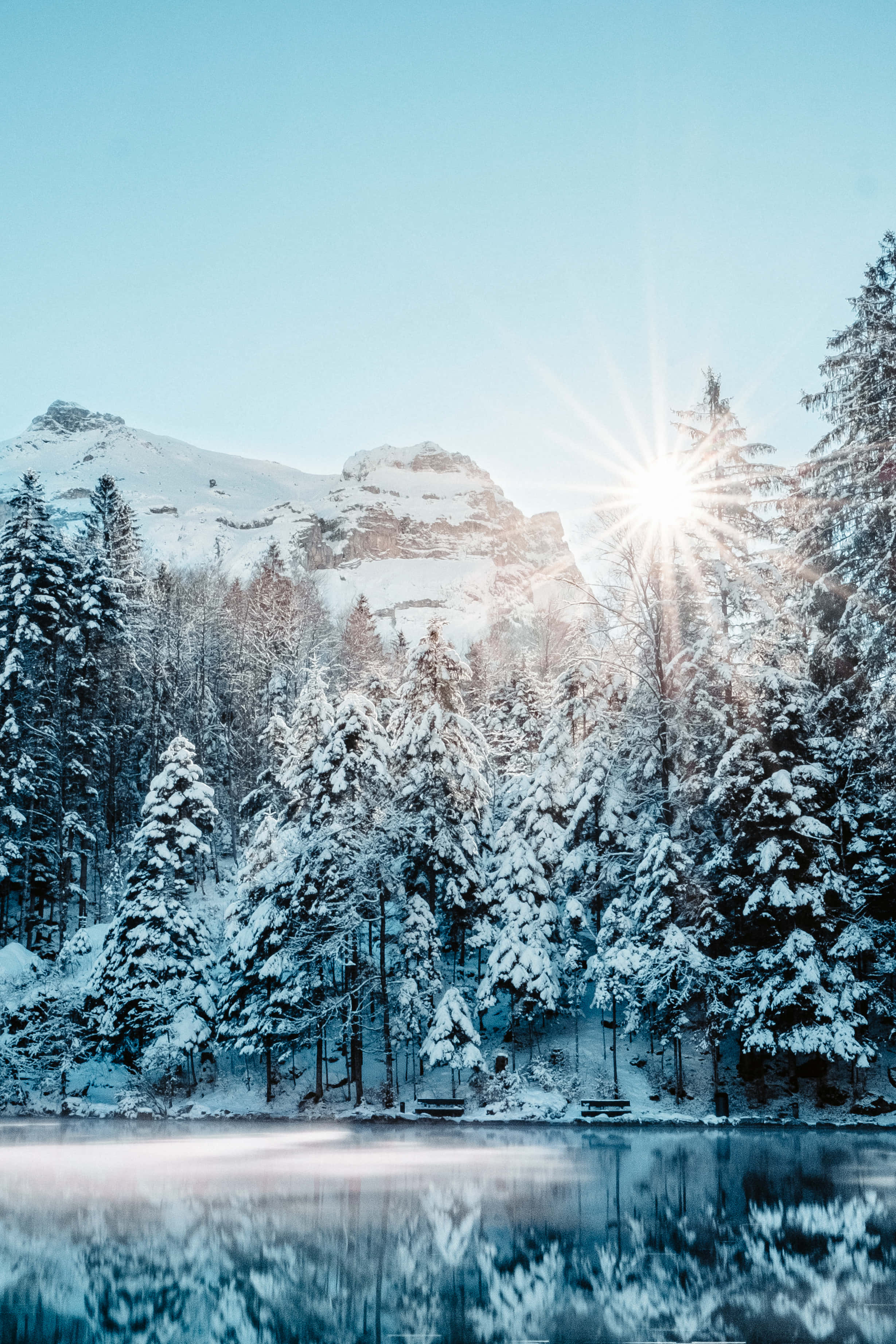 Un paraíso invernal te espera Fondos de pantalla
