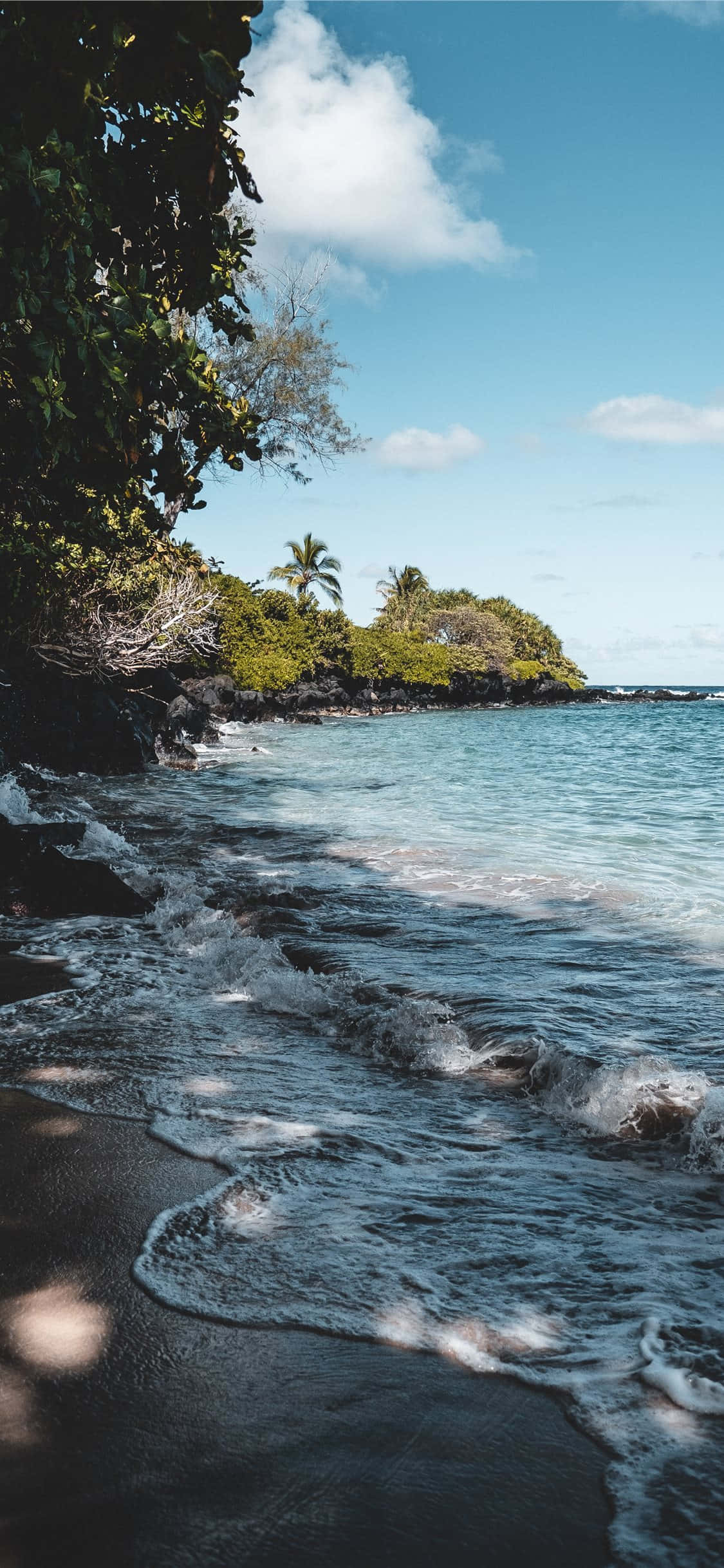 Un Paraíso Playero en Pleno Florecimiento Durante el Verano Fondos de pantalla