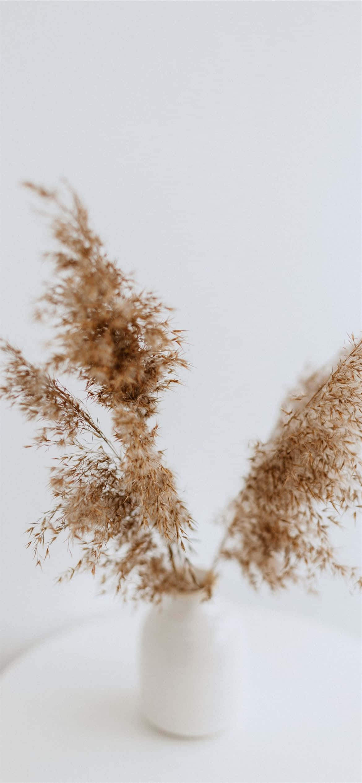 Un patrón cálido de marrón y blanco que muestra elegancia natural Fondos de pantalla