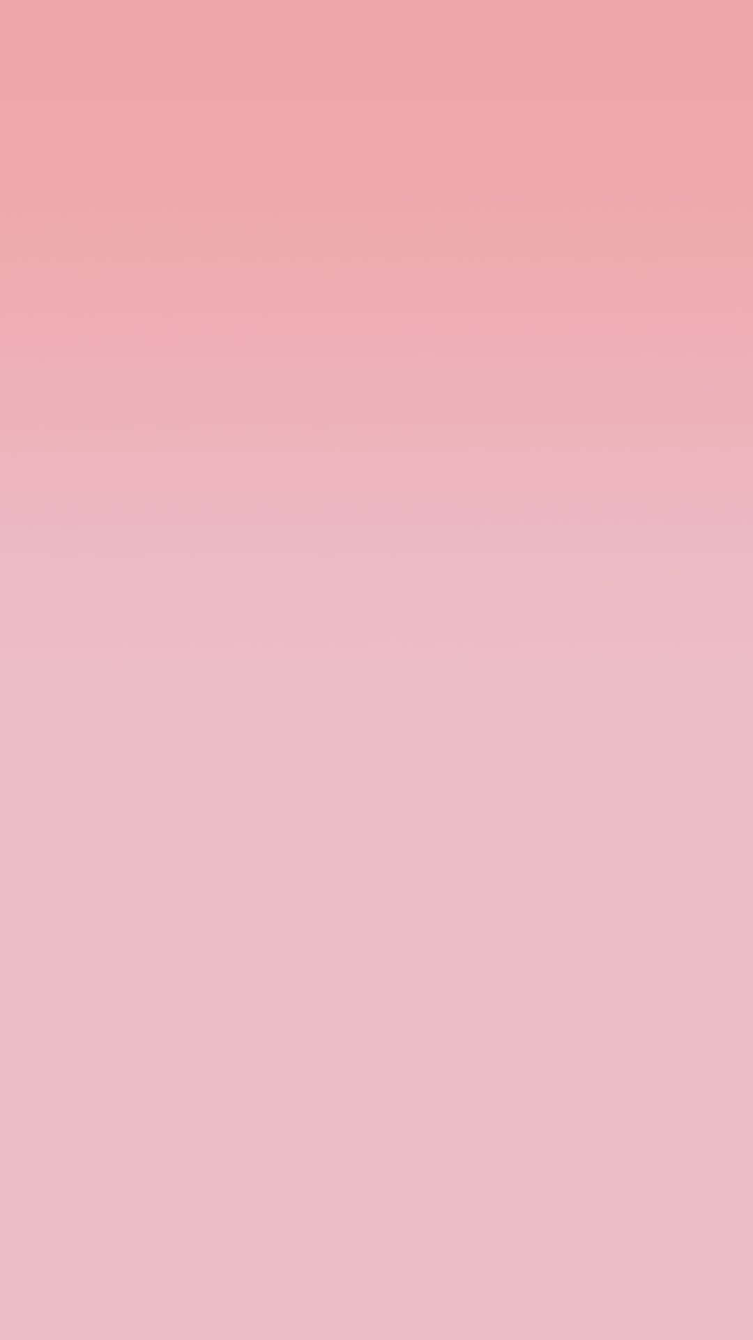 Un Radiante Tono de Rosa Fondos de pantalla