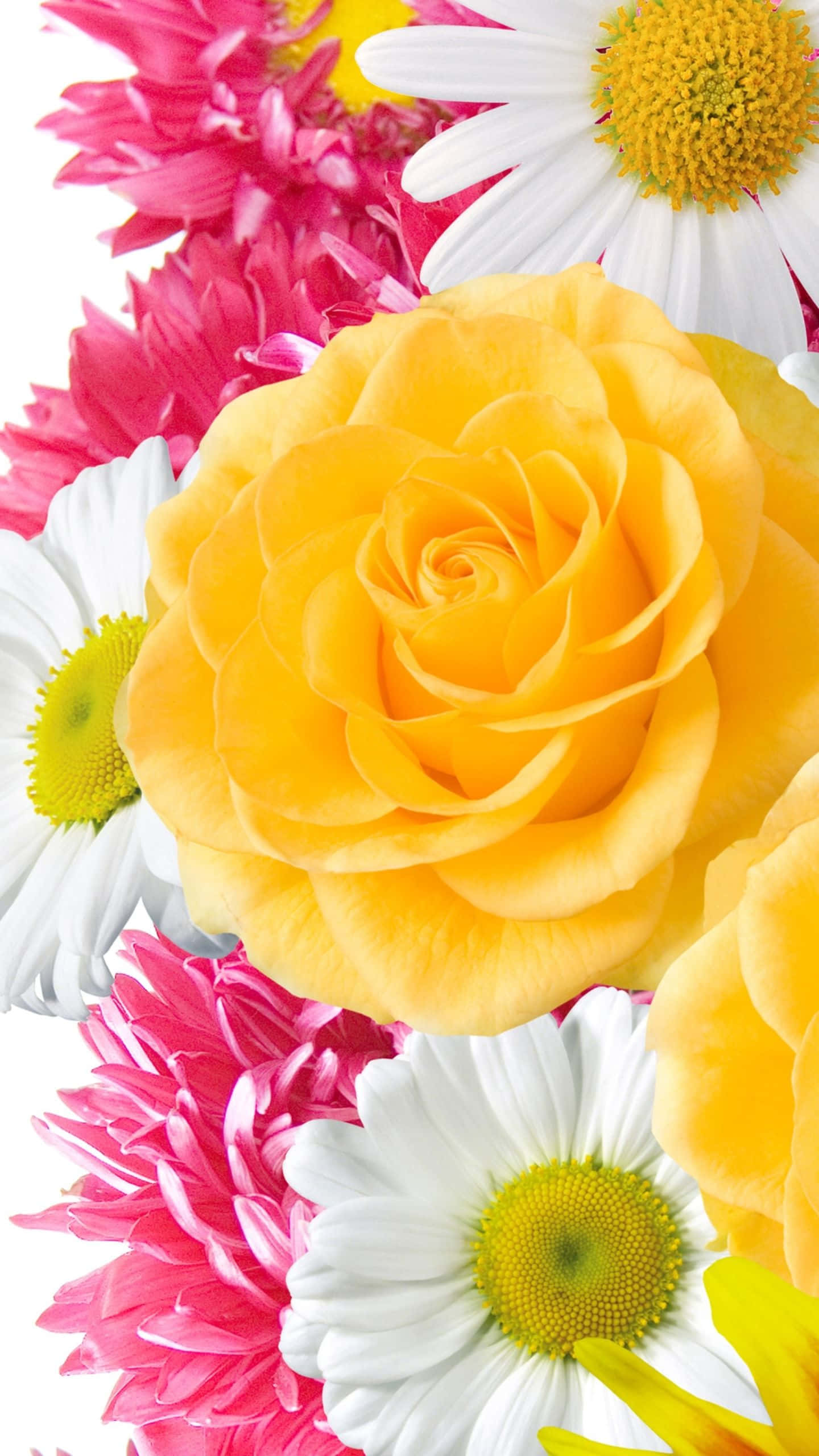 un ramo de flores Fondos de pantalla