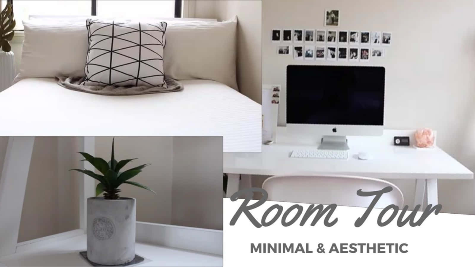 un recorrido por una habitación con una cama, un escritorio y una planta Fondos de pantalla
