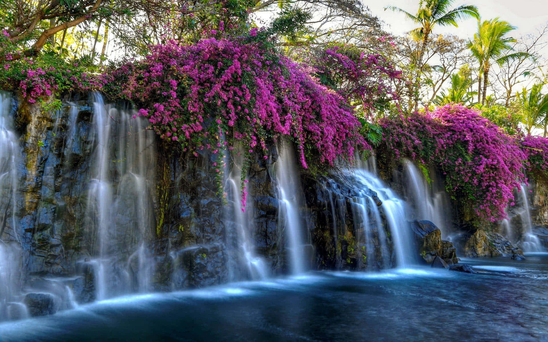 Un refrescante fondo de cascada Fondos de pantalla