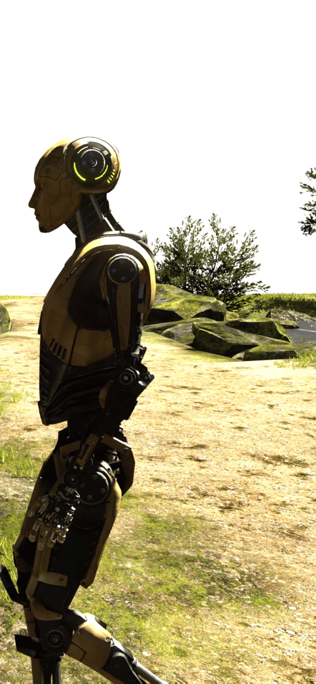 un robot camina por un campo Fondos de pantalla