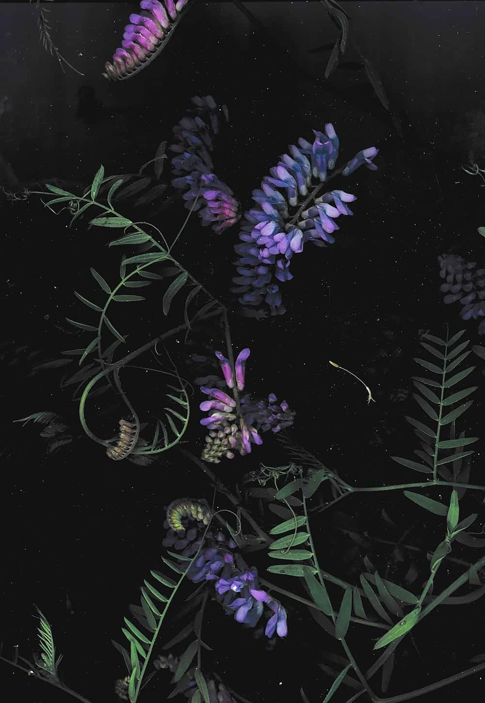 Un teléfono oscuro en la noche Fondos de pantalla