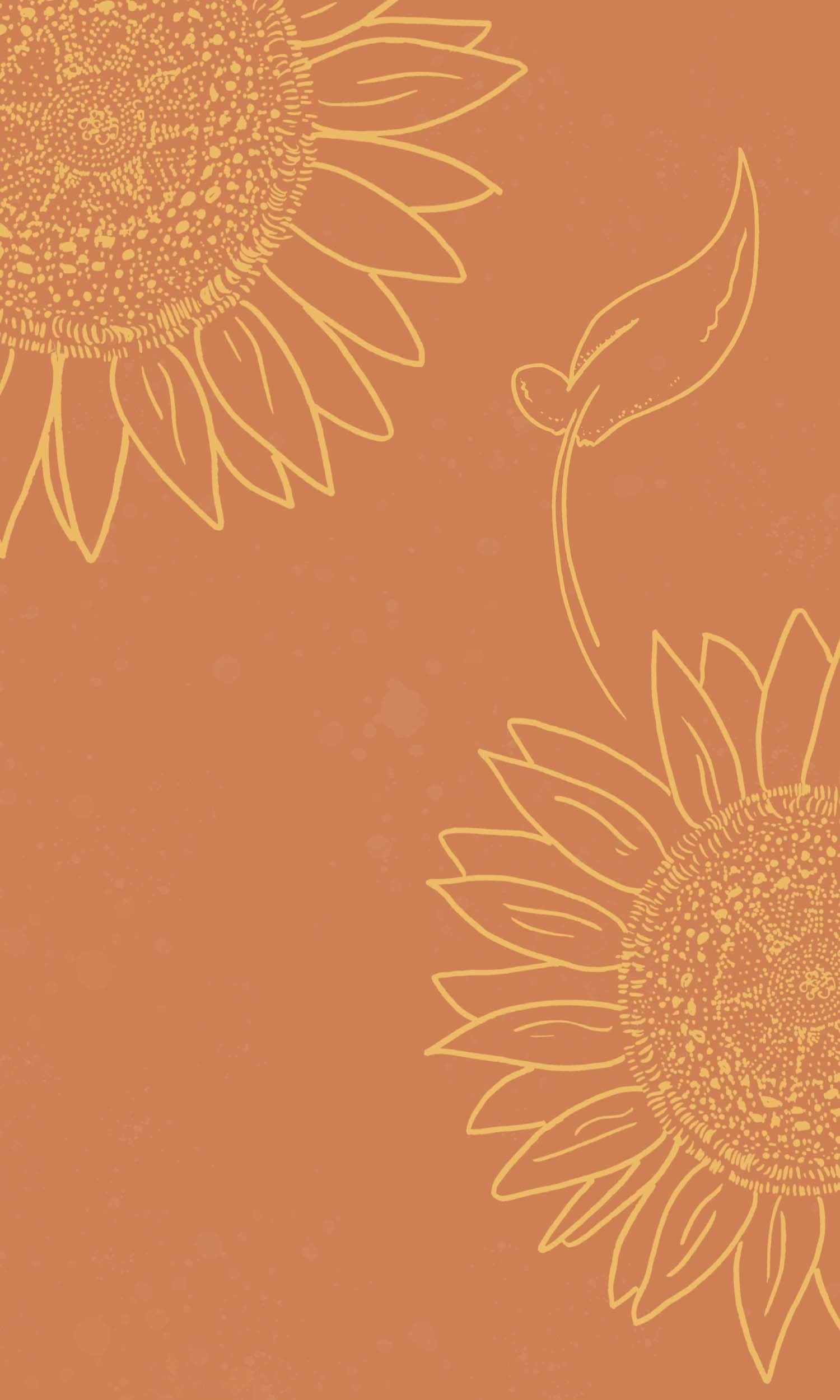 Un vibrante girasol estético rebosante de belleza Fondos de pantalla
