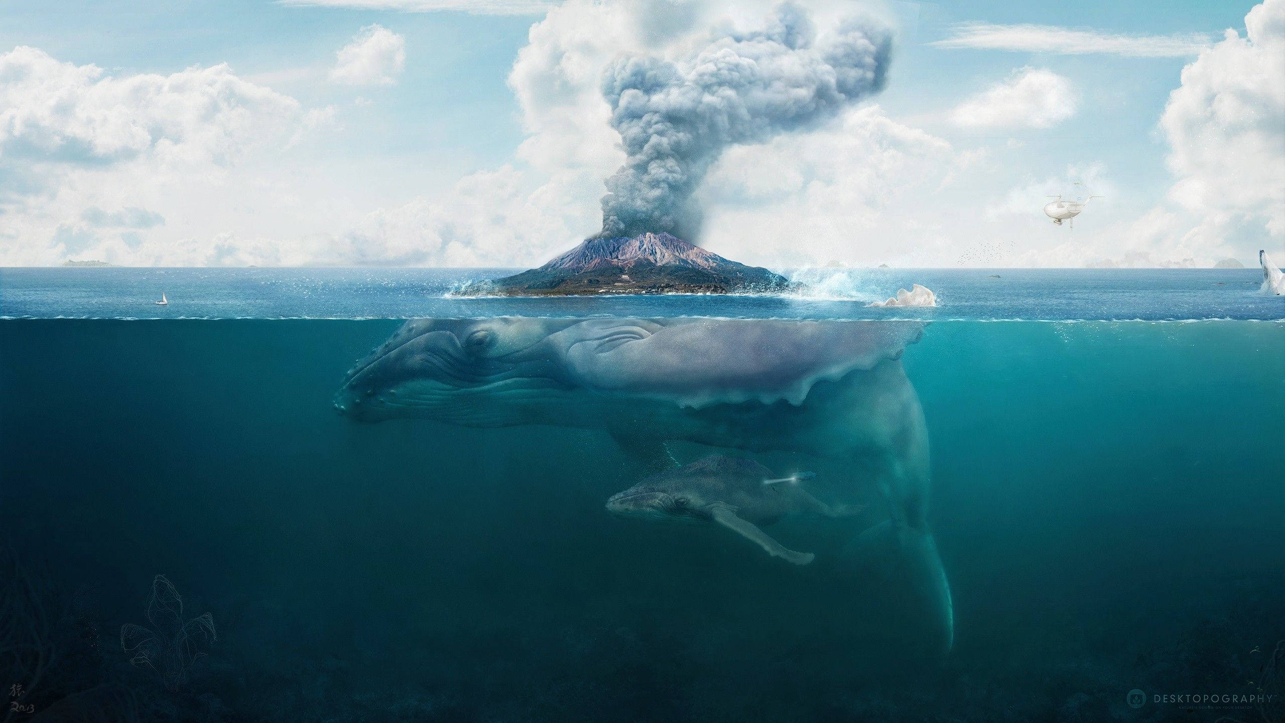 Una Ballena Gigante Nadando Majestuosamente en el Océano Fondos de pantalla