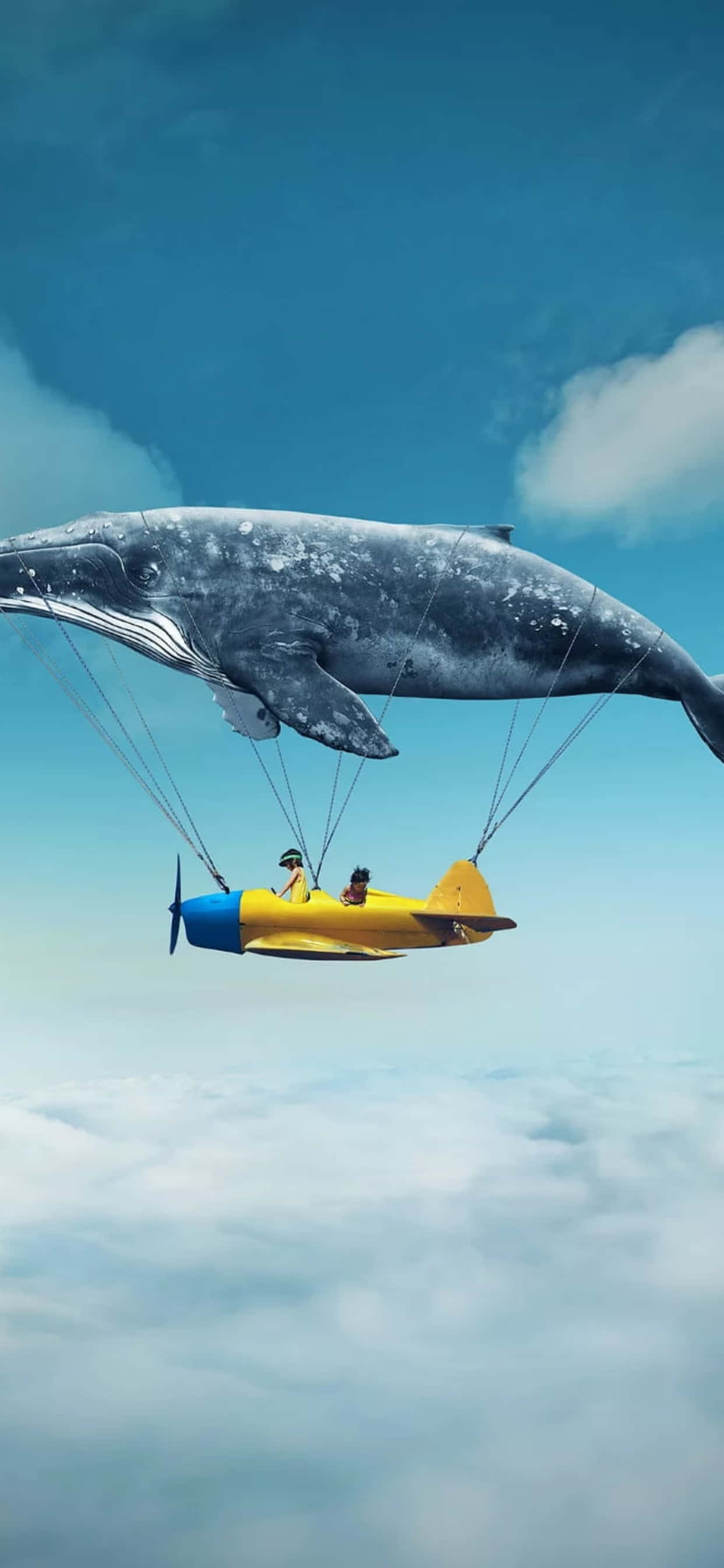 una ballena vuela en el cielo con un hombre en un avión Fondos de pantalla