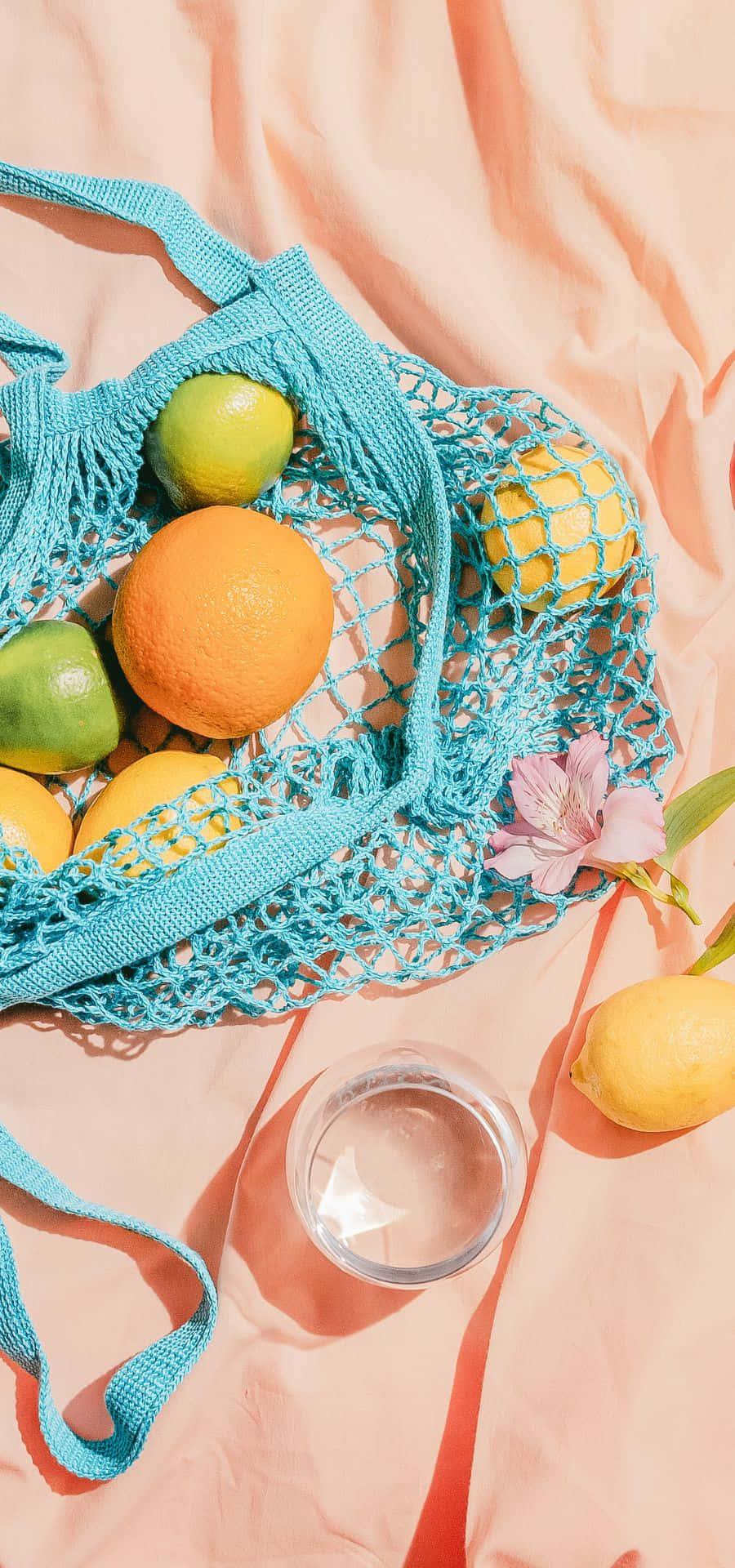 una bolsa azul con limones y naranjas Fondos de pantalla