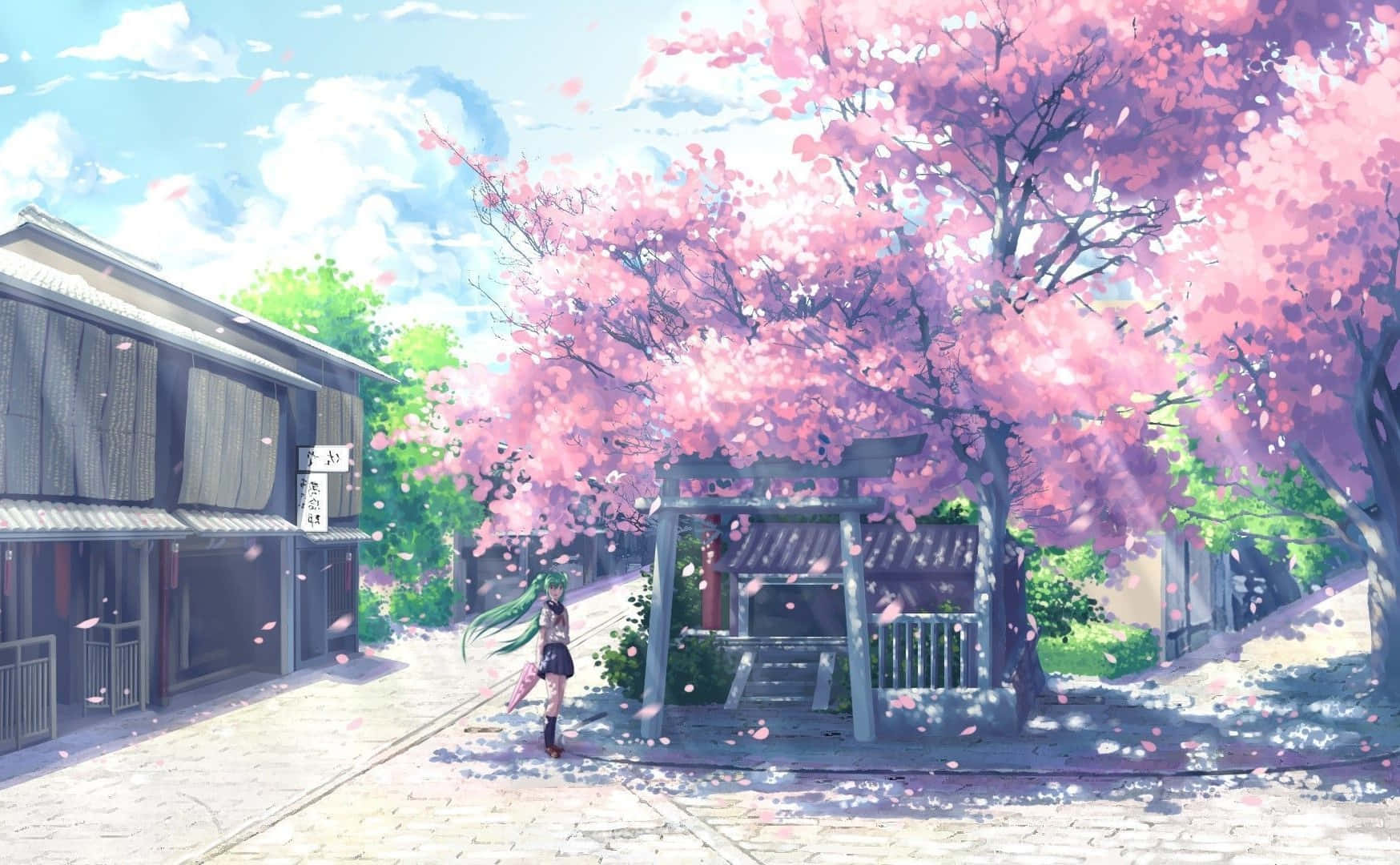 una calle con árboles de flores rosadas y una casa Fondos de pantalla