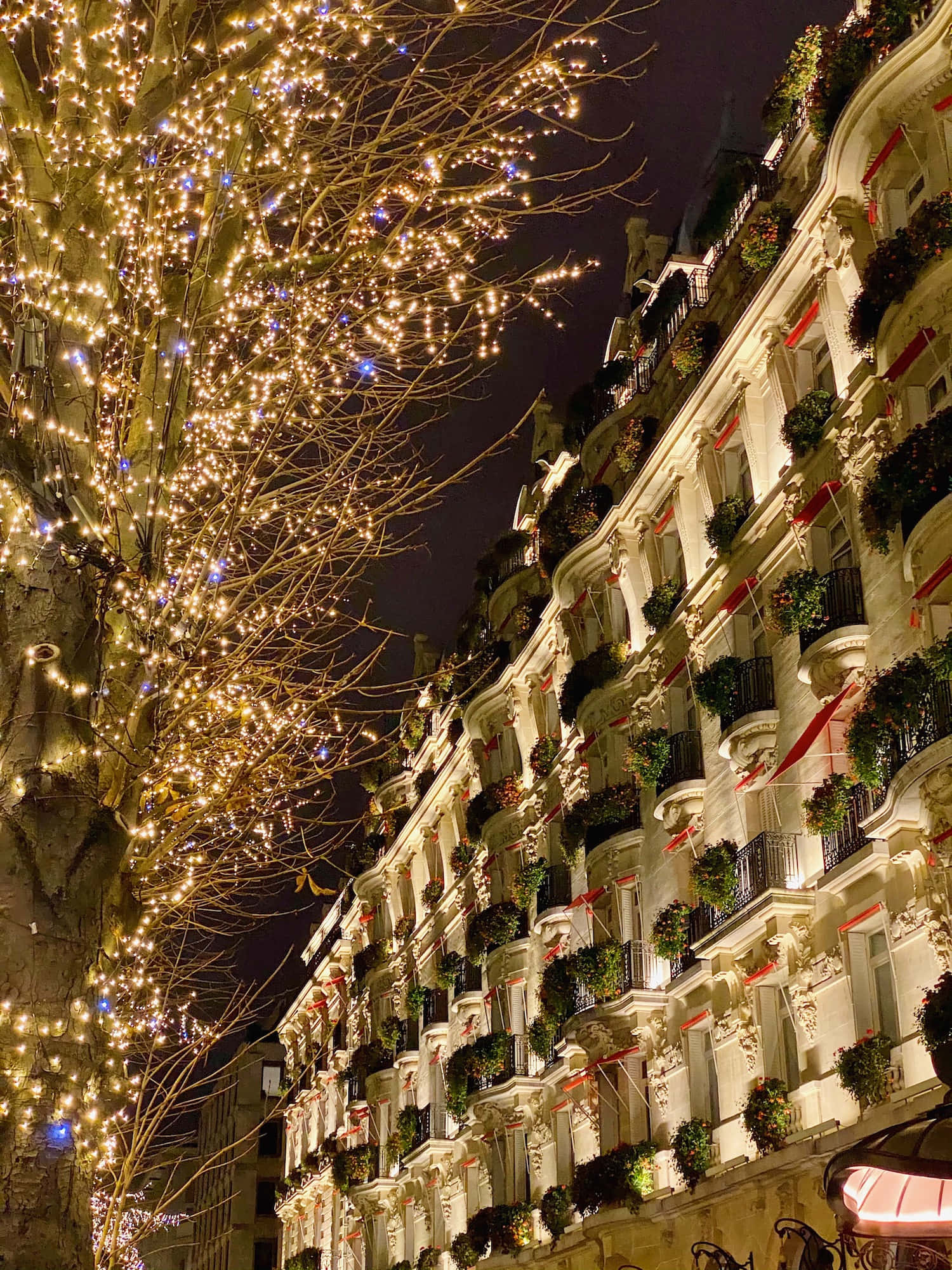 una calle con luces navideñas y un árbol Fondos de pantalla