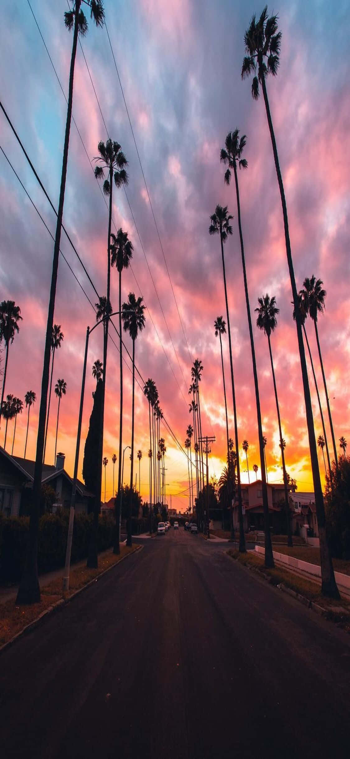 una calle con palmeras y un atardecer colorido Fondos de pantalla