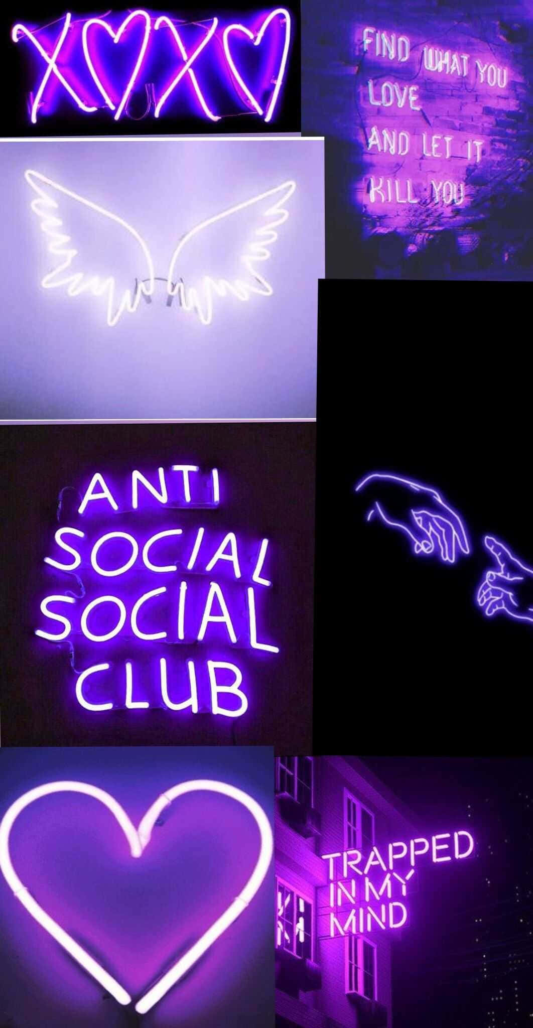 una colección de letreros de neón con palabras como anti social club Fondos de pantalla