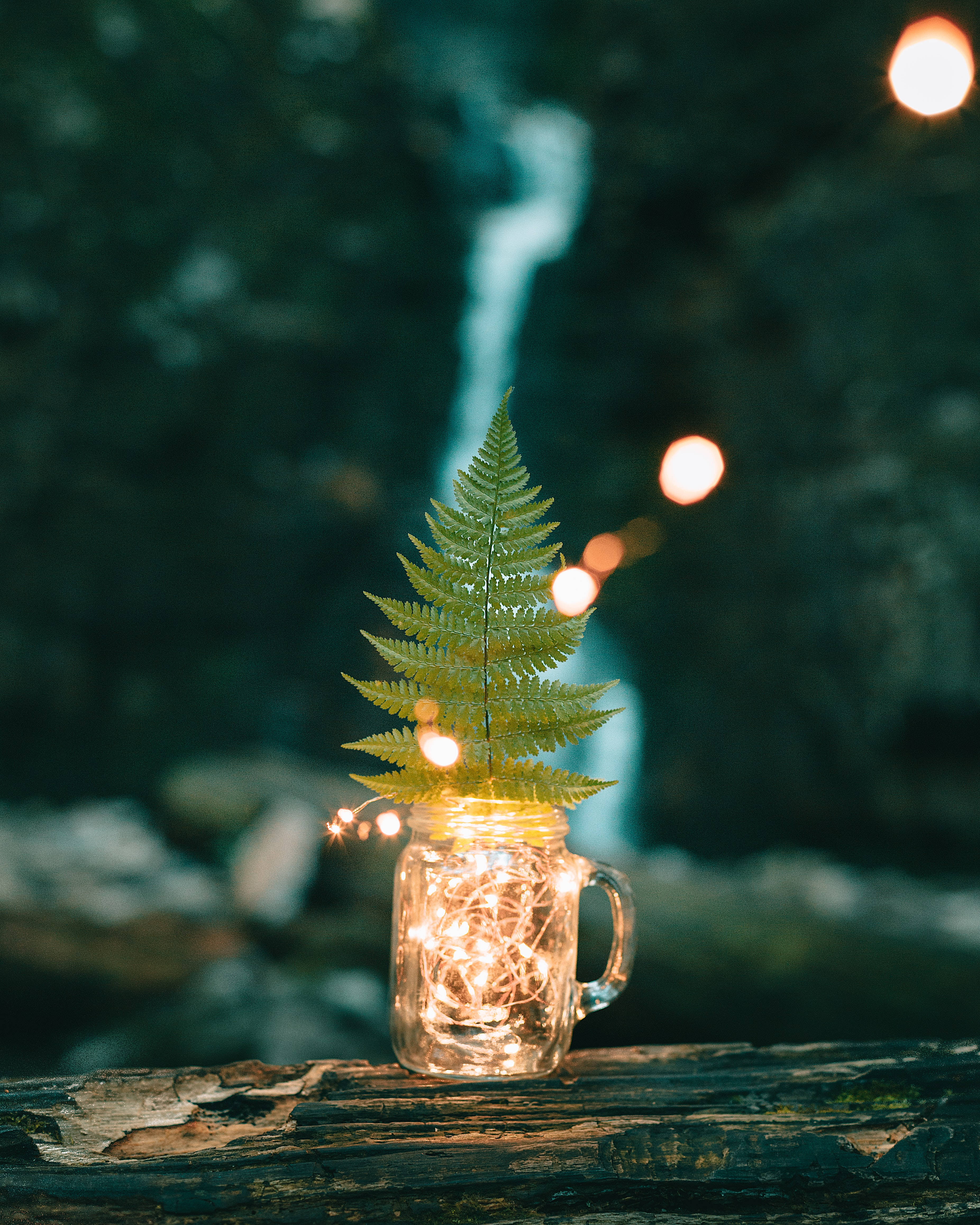 Una combinación intrigante de naturaleza e innovación humana. Fondos de pantalla