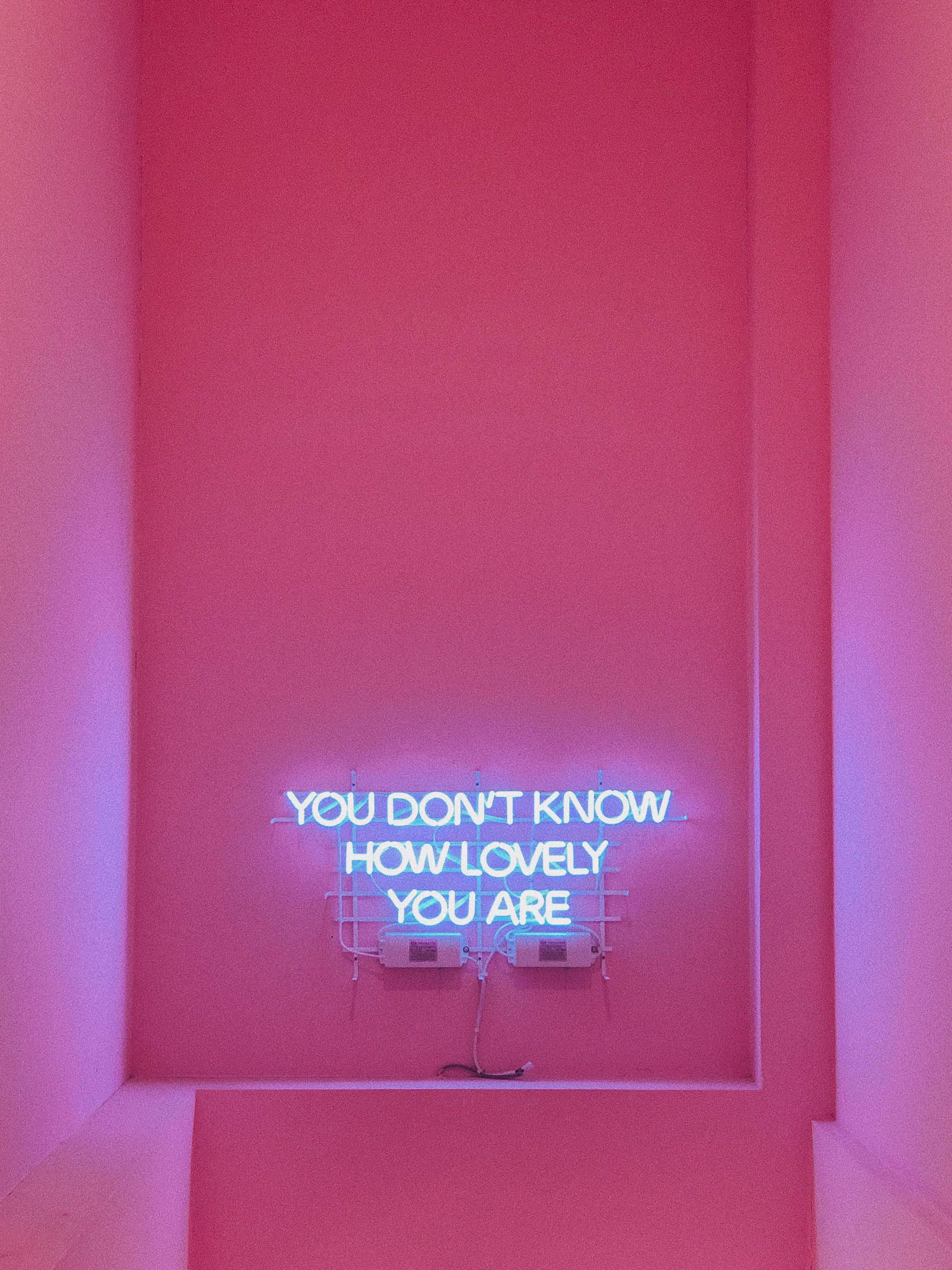 Una Exuberante Exhibición de Elegancia Rosa Pastel Fondos de pantalla