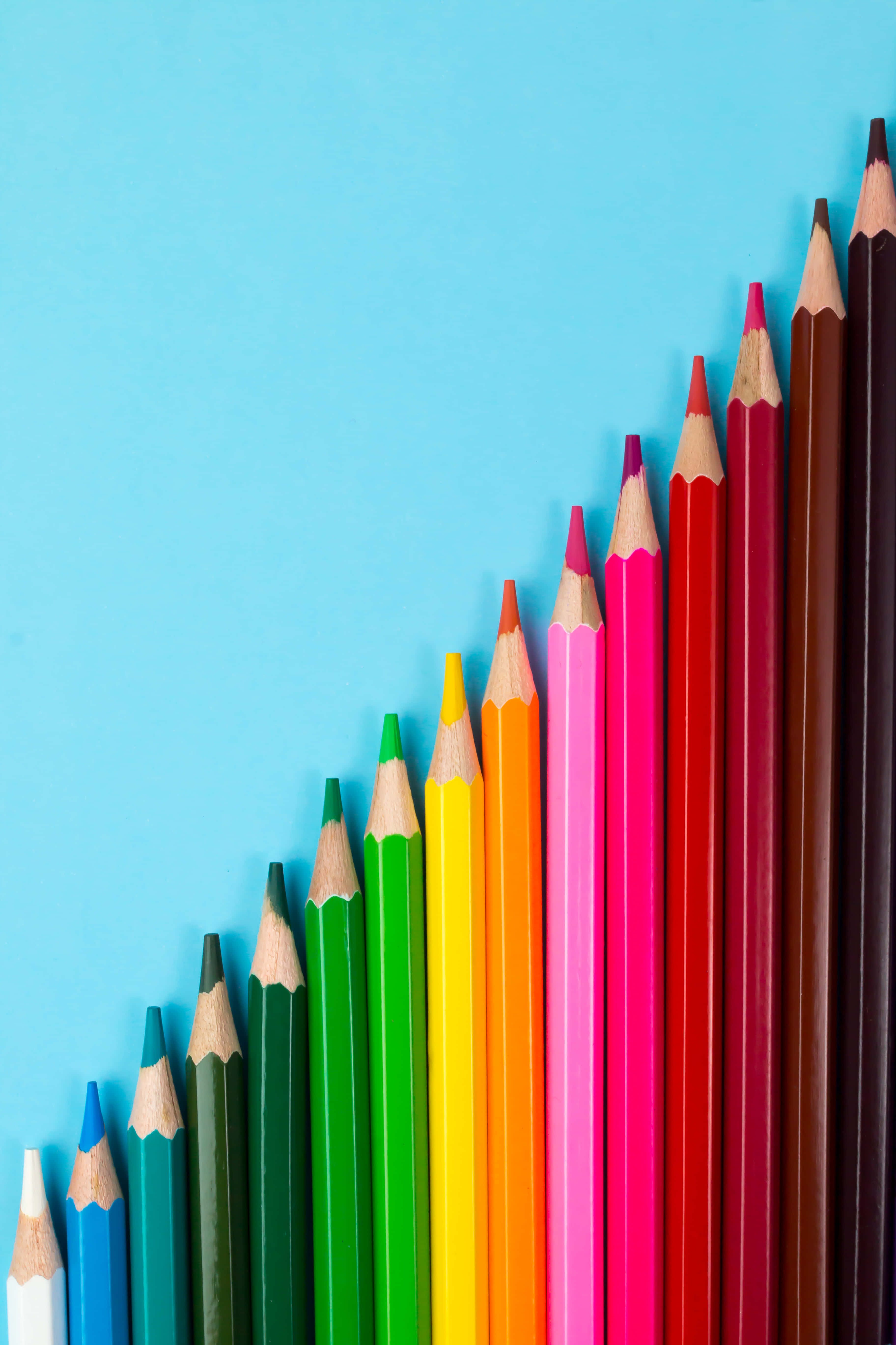 una fila de lápices de colores Fondos de pantalla