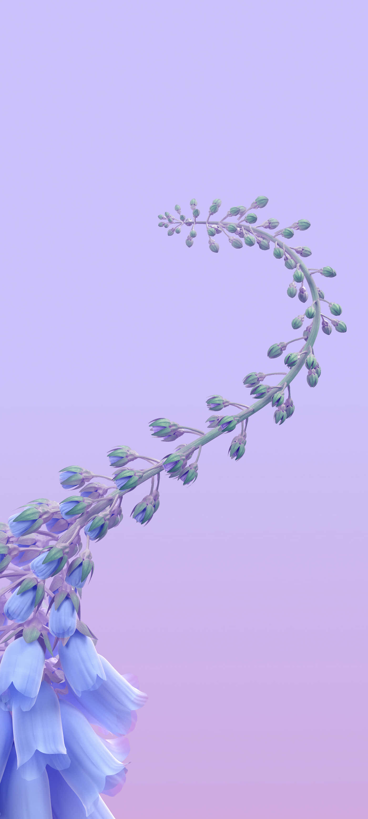 una flor azul con hojas moradas en el fondo Fondos de pantalla