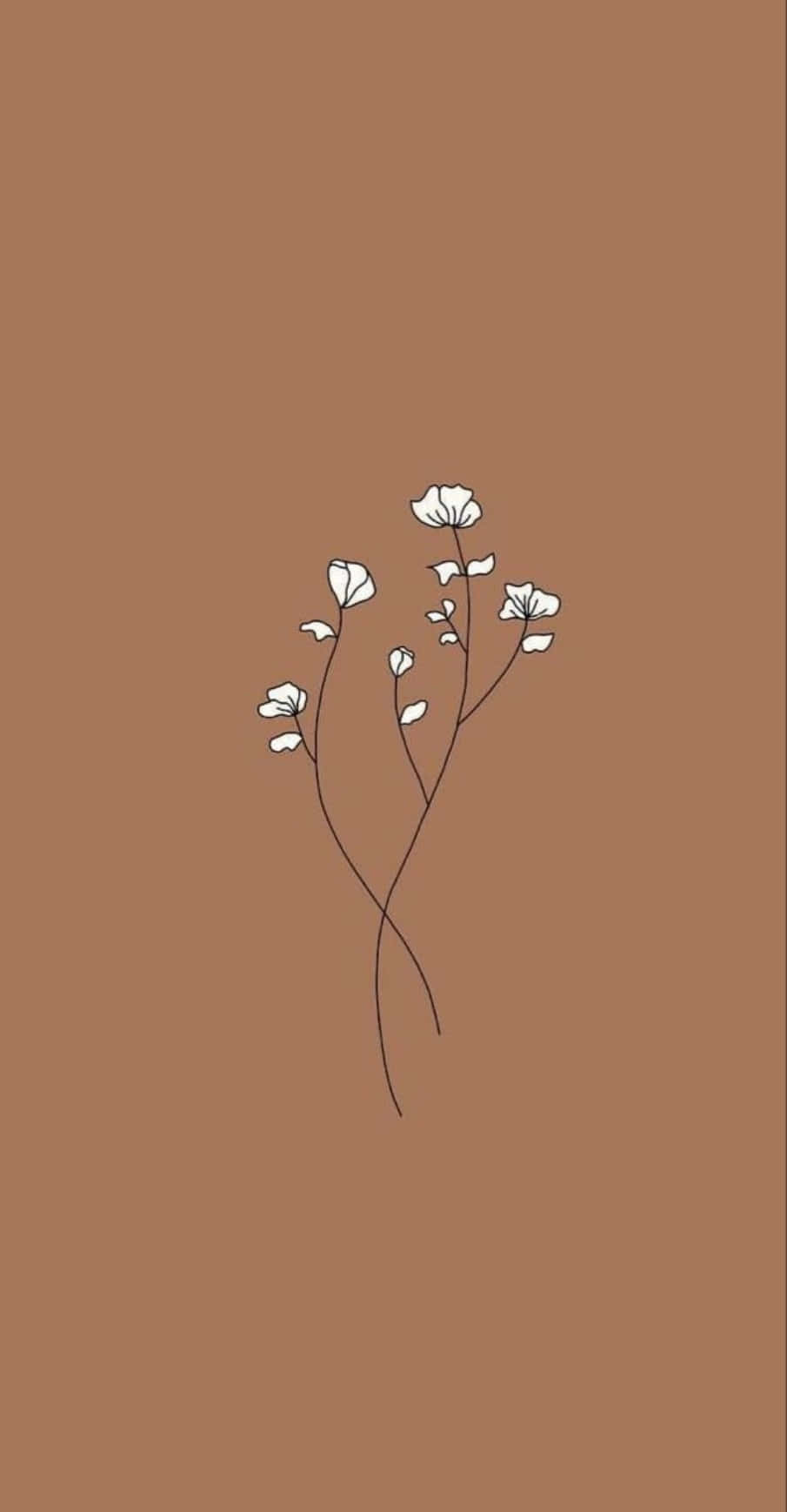 una flor blanca sobre un fondo marrón Fondos de pantalla