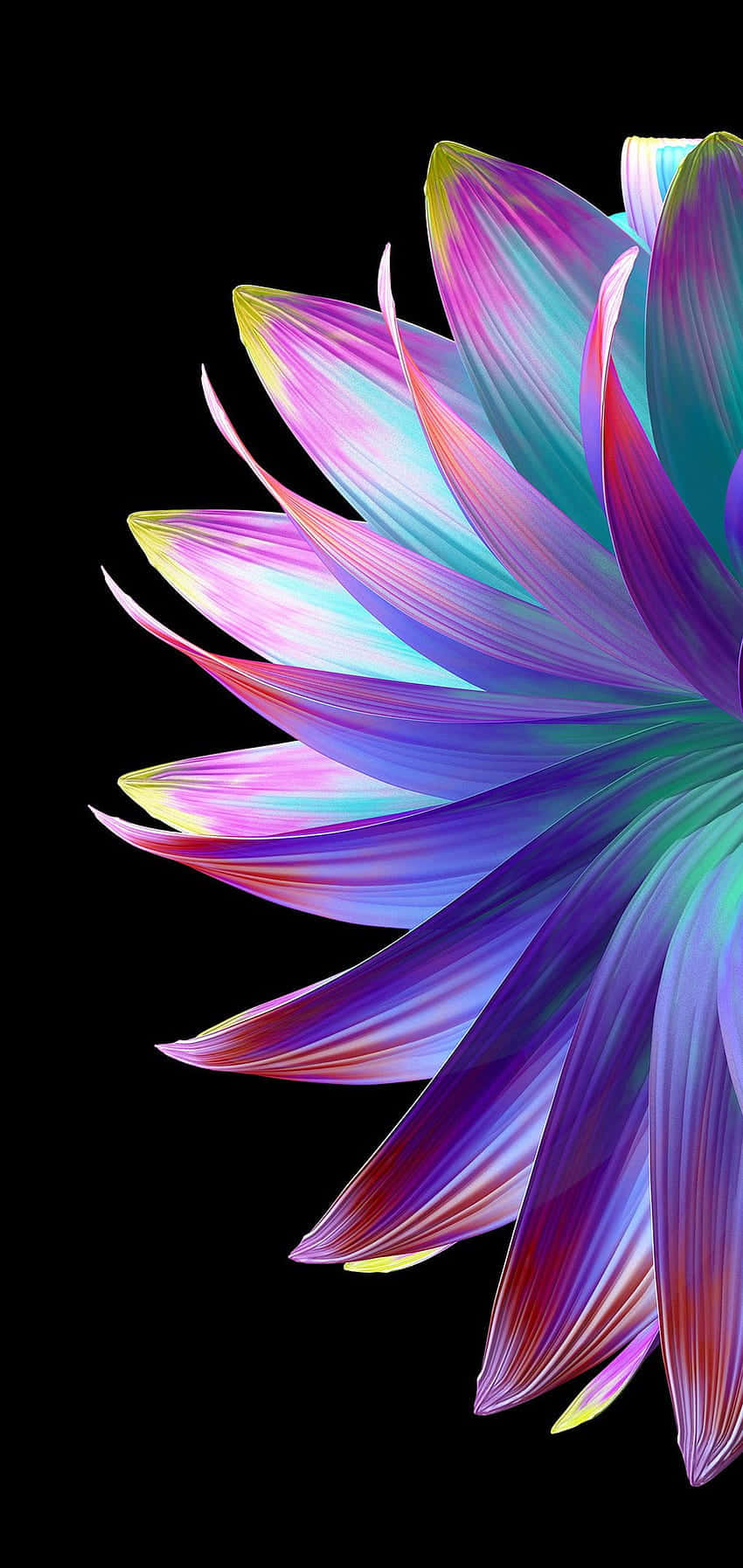 una flor colorida con fondo negro Fondos de pantalla
