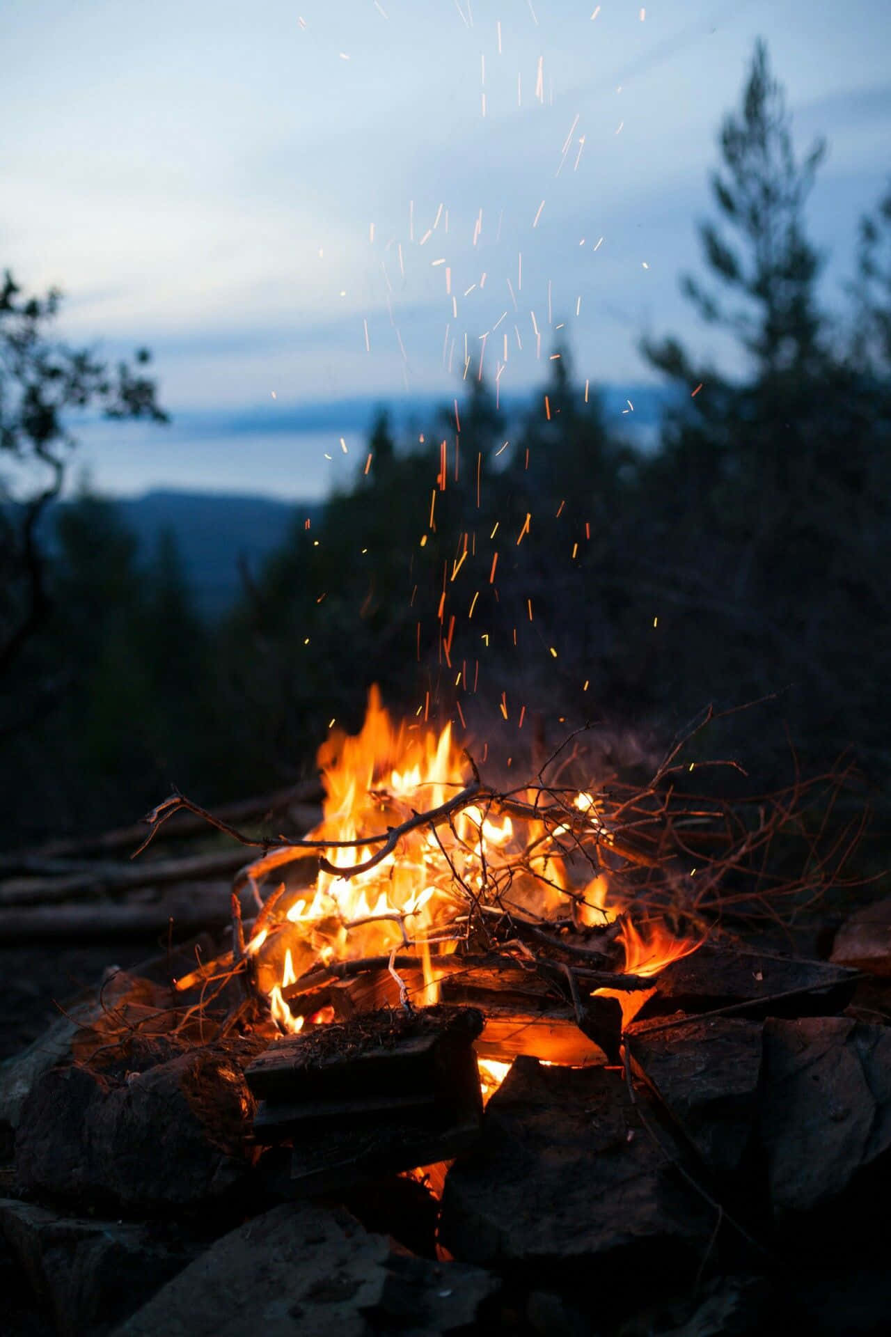 una fogata arde en el bosque Fondos de pantalla
