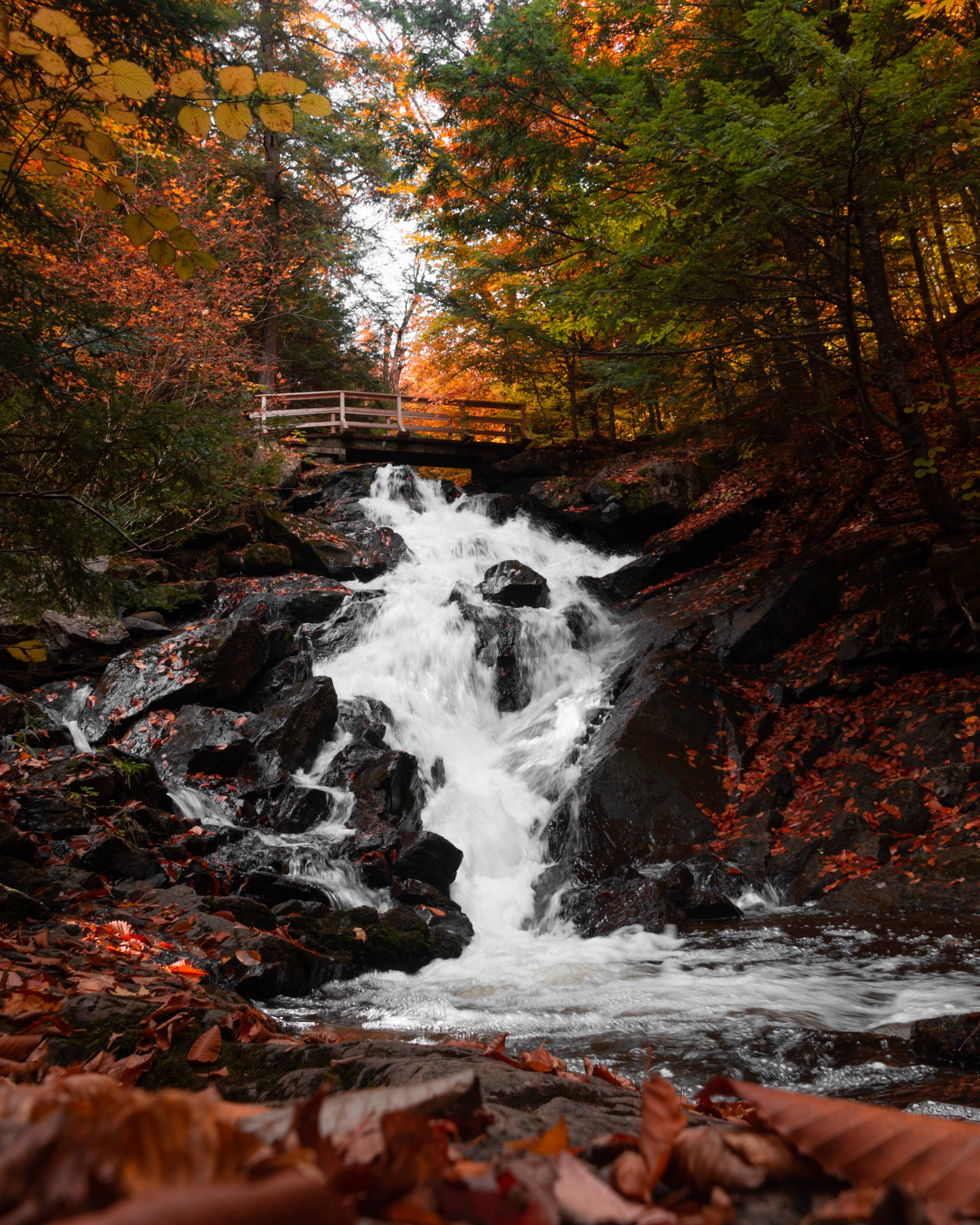 Una hermosa cascada en otoño Fondos de pantalla