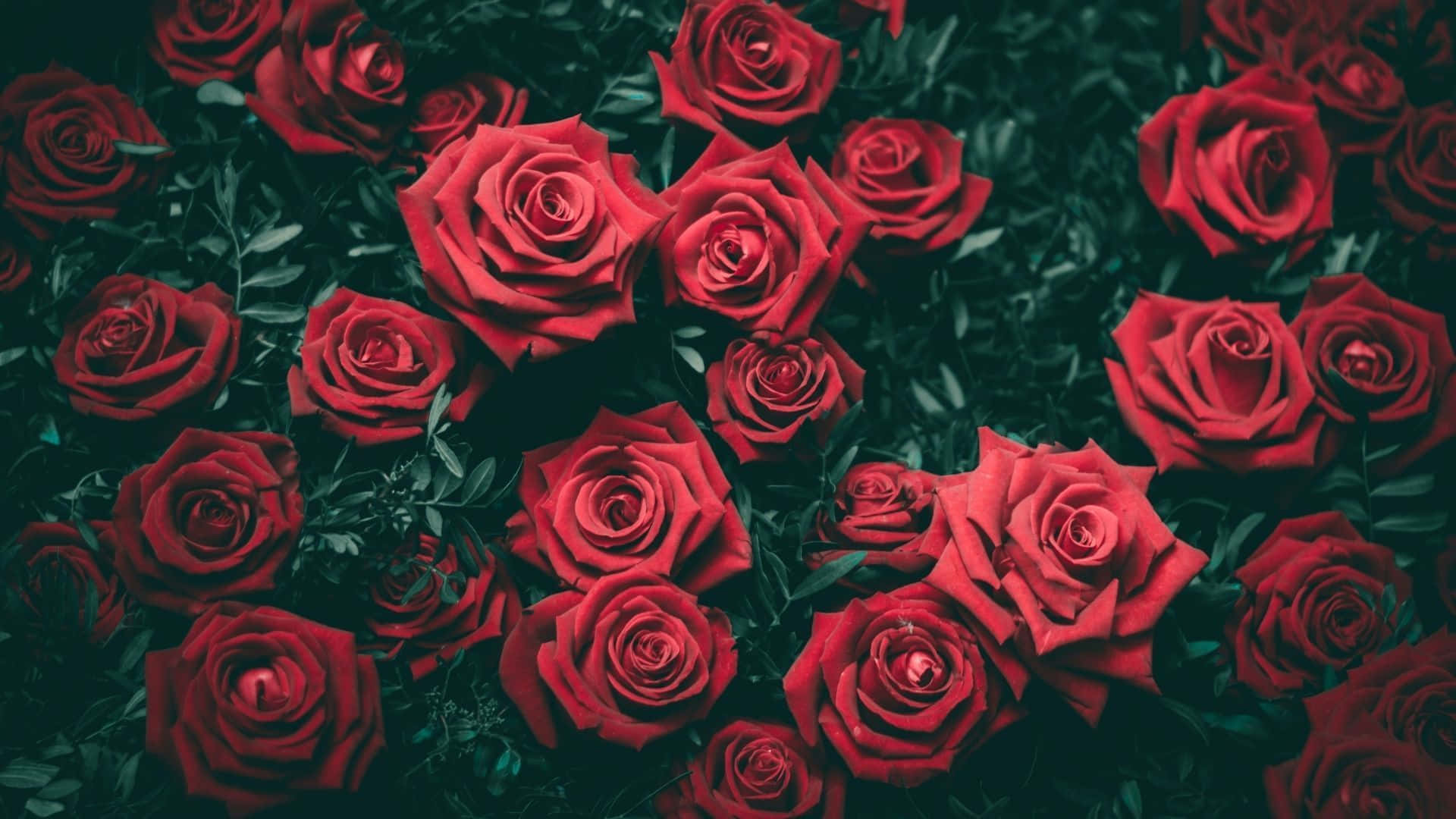 Una hermosa flor en un entorno esmeralda Fondos de pantalla