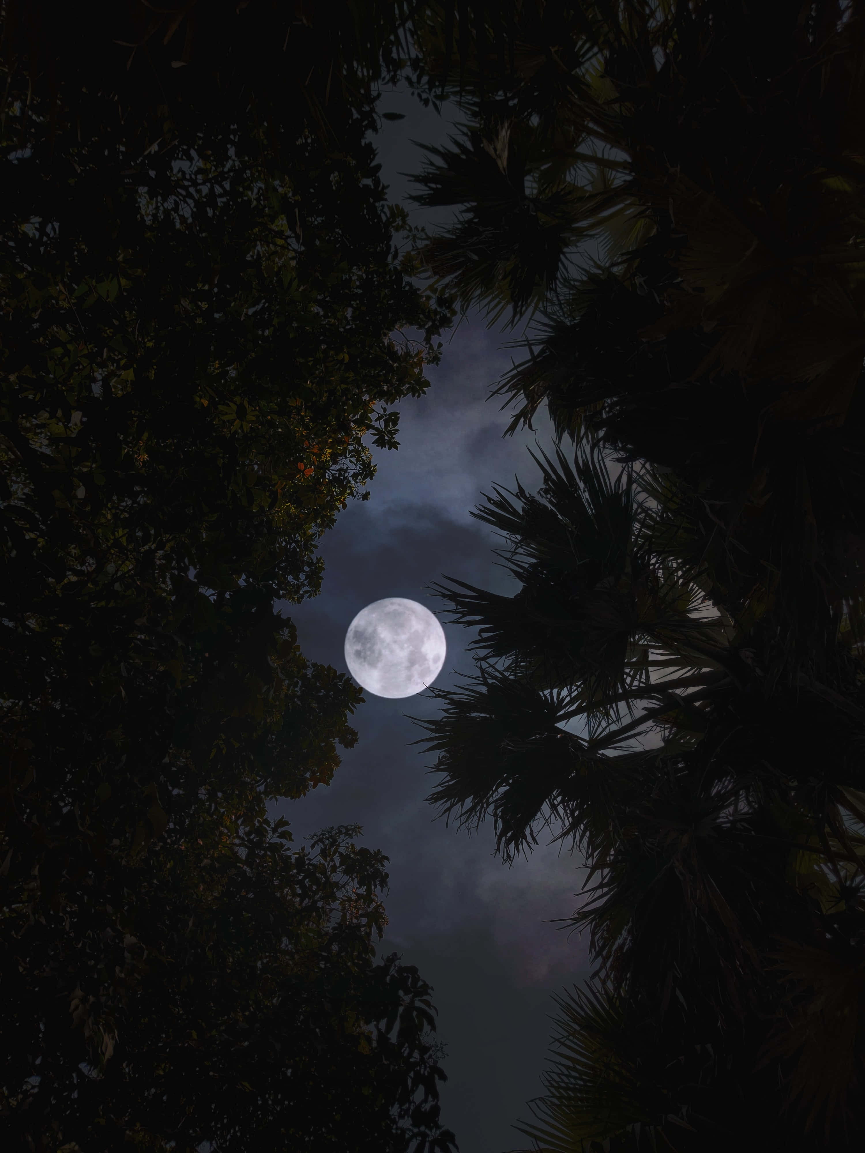 Una hermosa luna llena iluminando un cielo nocturno tranquilo. Fondos de pantalla