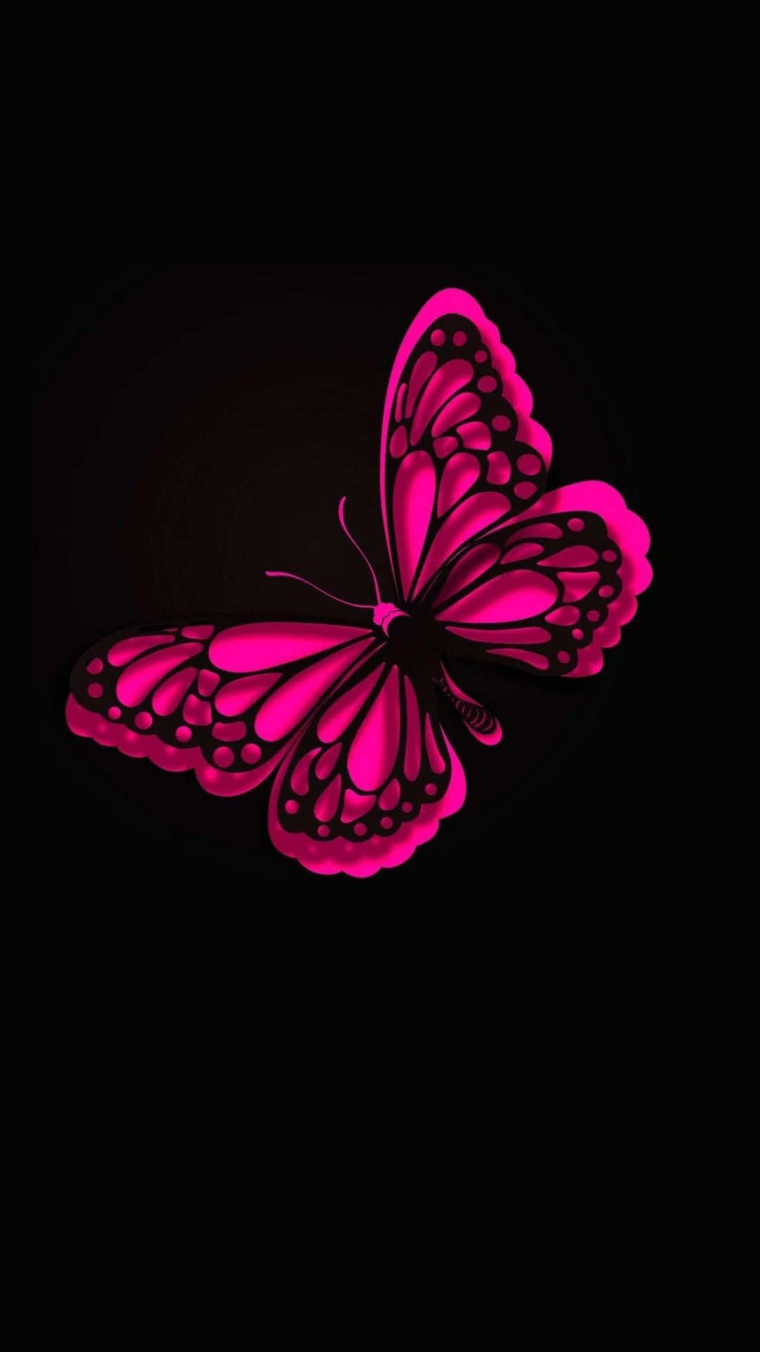 Una Hermosa Mariposa Estética Fondos de pantalla