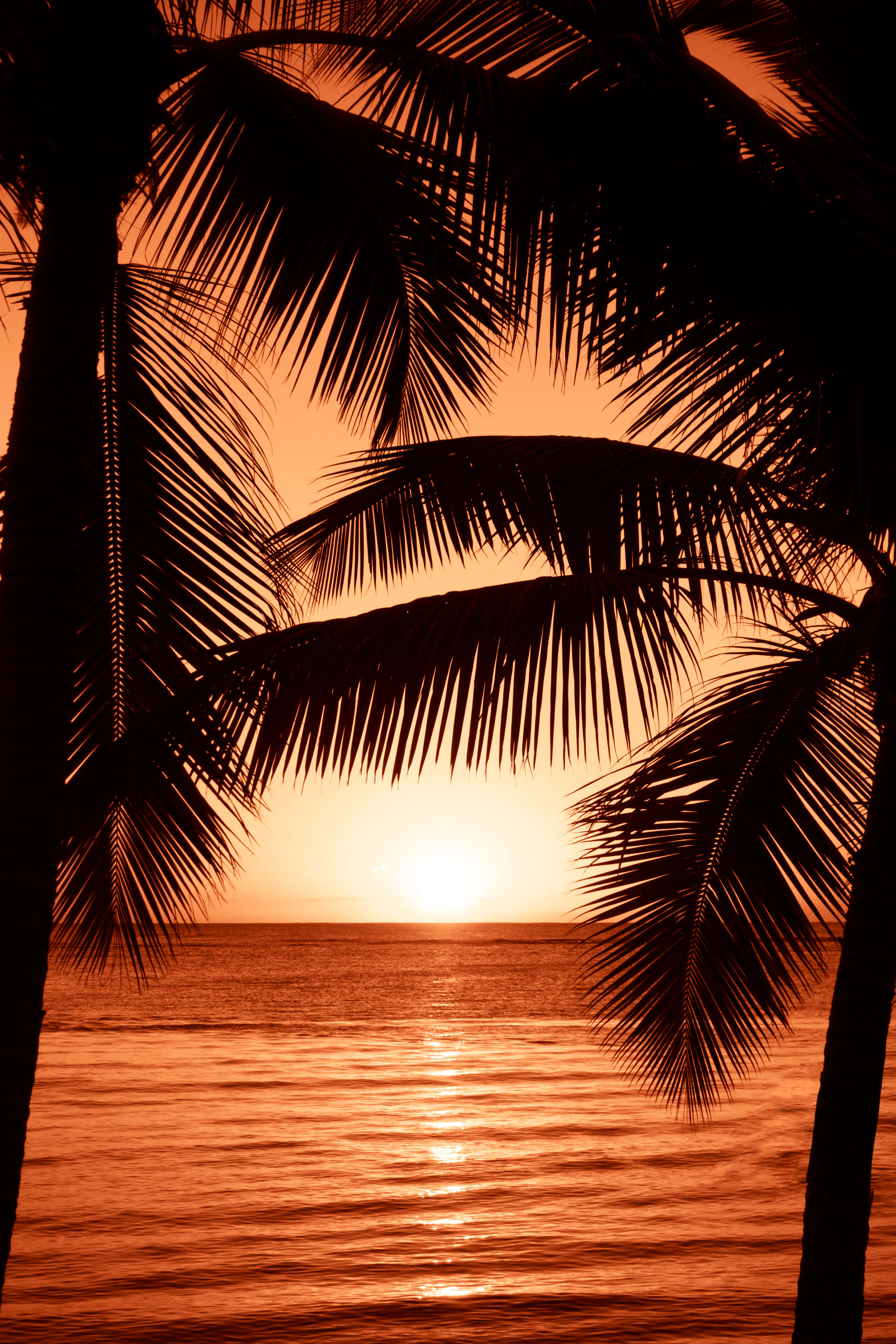 Una hermosa puesta de sol en la playa. Fondos de pantalla