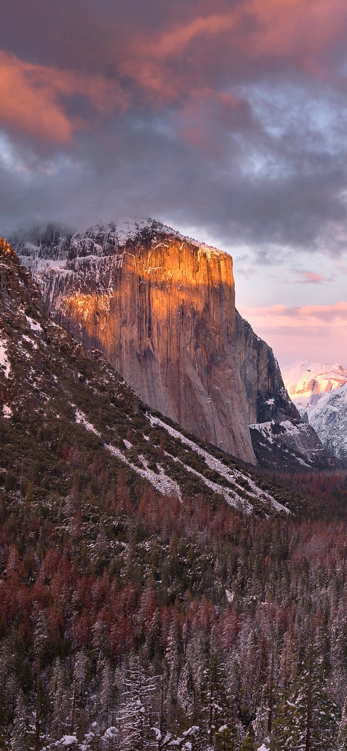 Una hermosa vista del Parque Nacional Yosemite vista a través del lente de un iPhone Fondos de pantalla