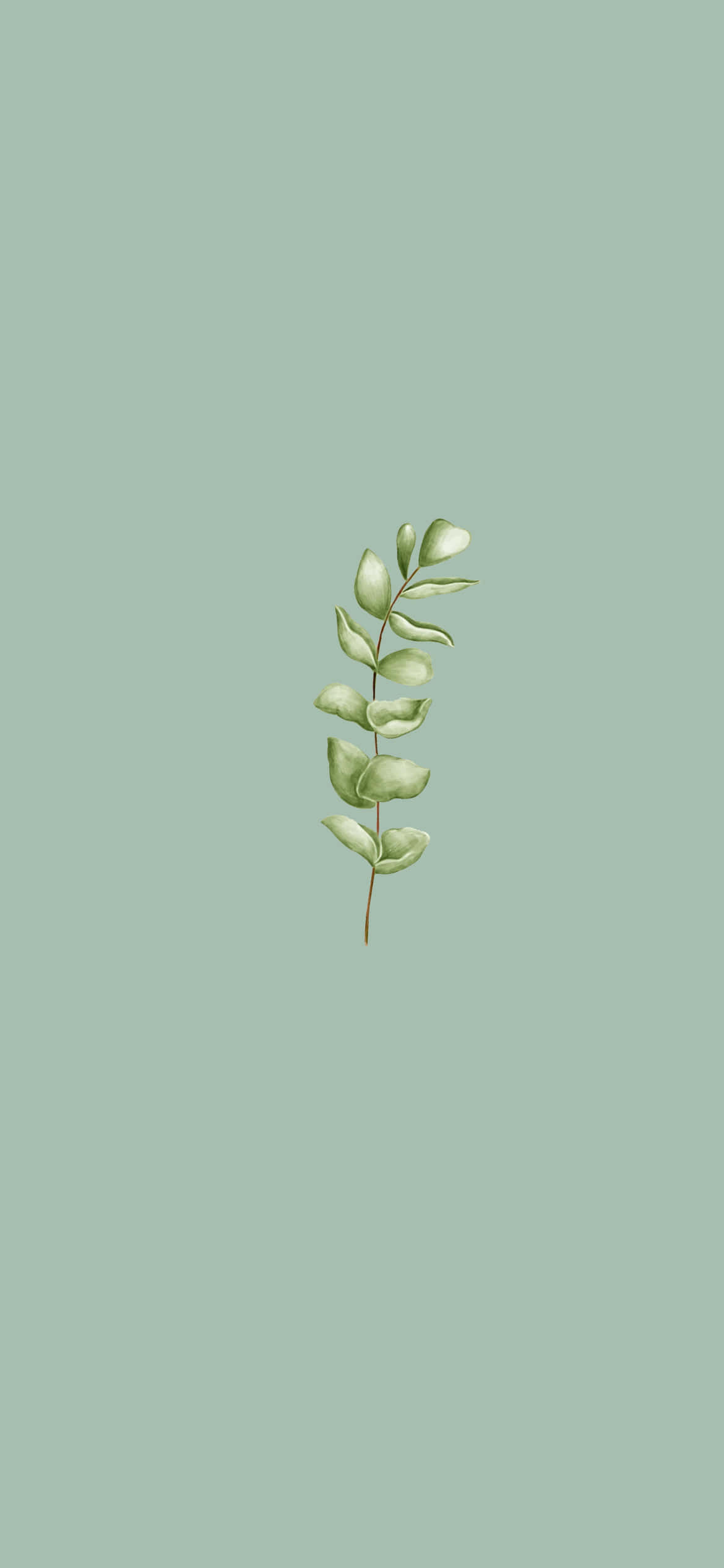 una hoja verde sobre un fondo azul Fondos de pantalla