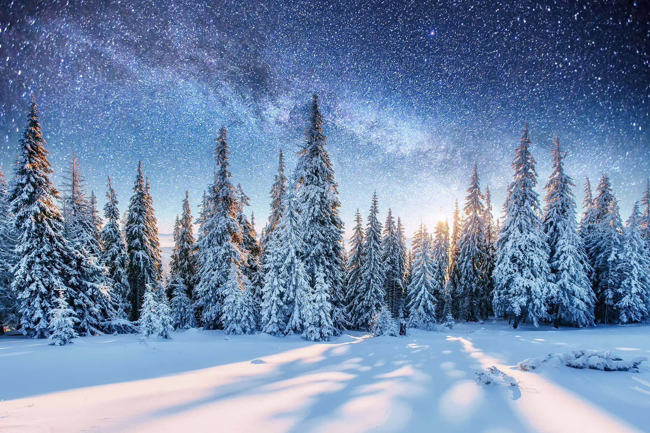 Una impresionante pintura invernal con nieve blanca hipnotizante y hermoso paisaje natural al fondo. Fondos de pantalla