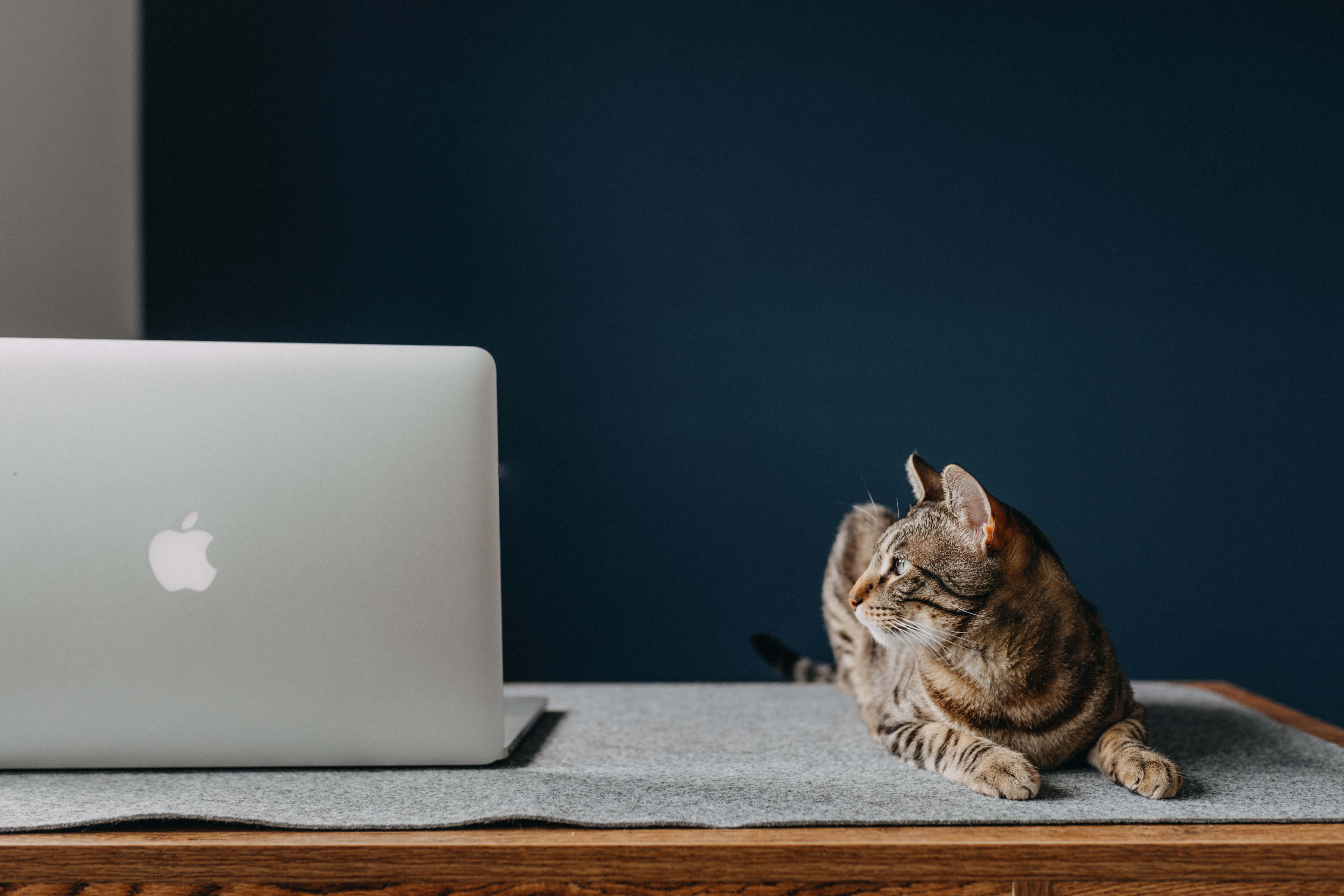 Una laptop Macbook clásica con diseño minimalista Fondos de pantalla