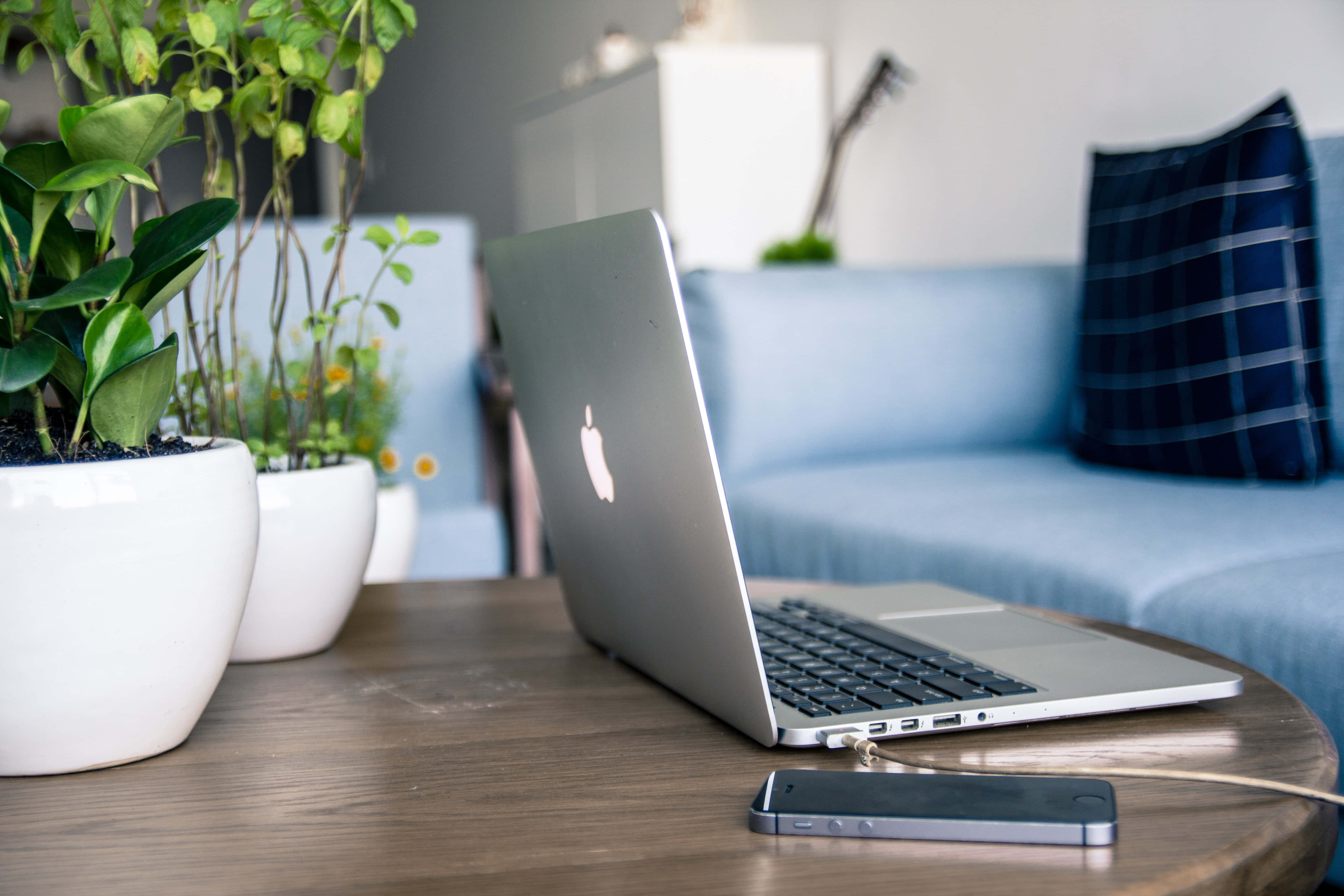 una laptop sobre una mesa junto a una planta Fondos de pantalla